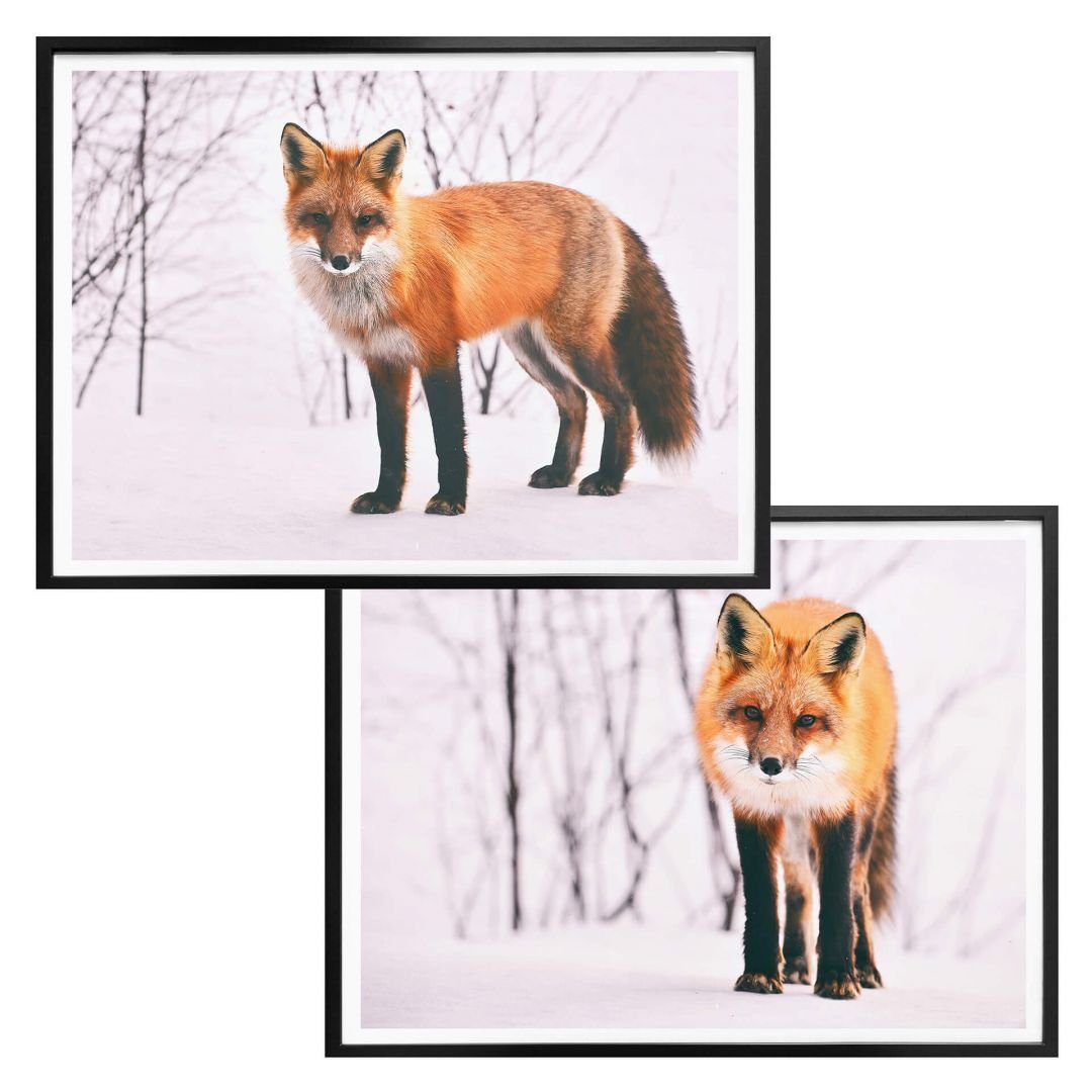 Poster Poster Collage Boho Deko Waldtiere wilder Fuchs im Schnee 2er Set