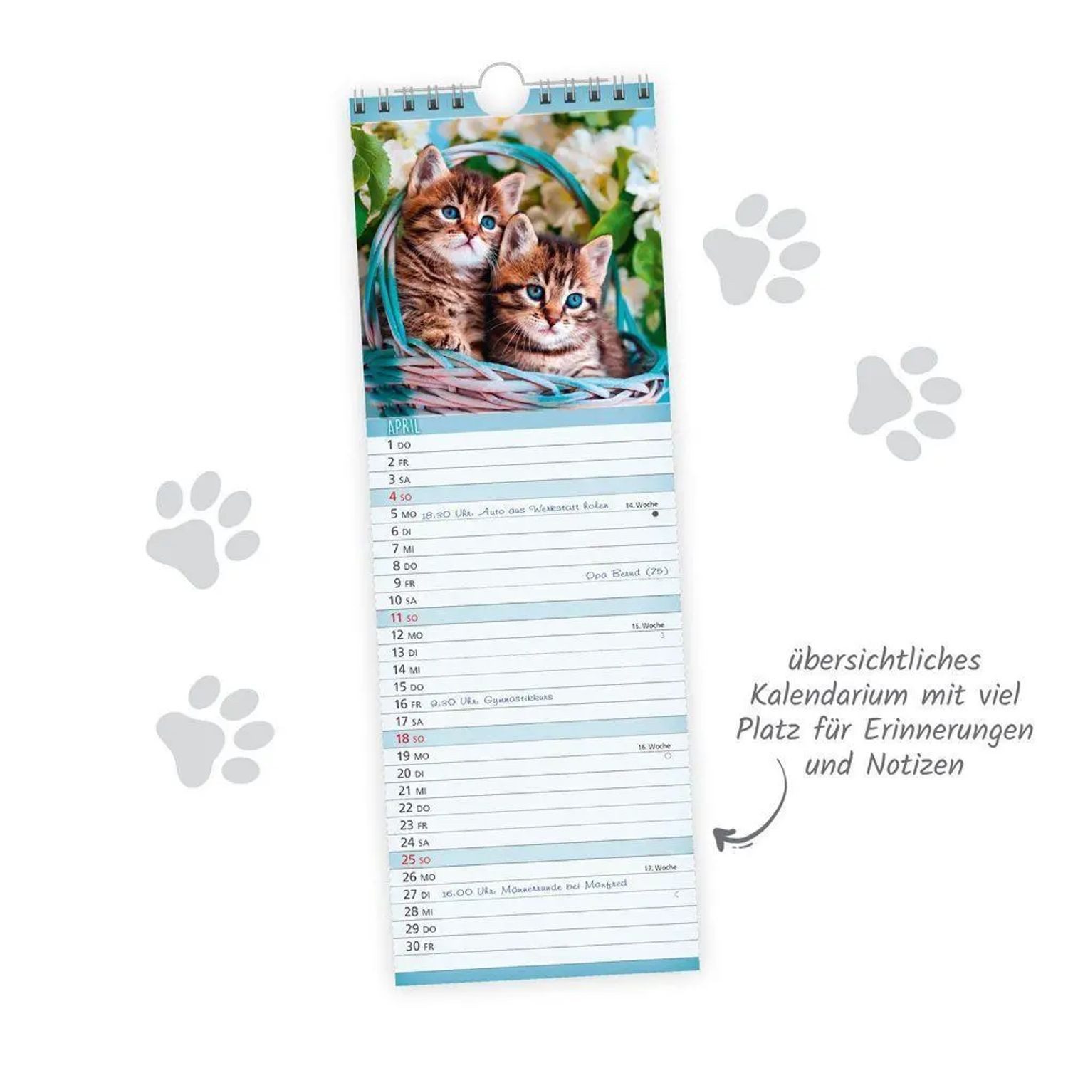 Trötsch Verlag Wandkalender TRÖTSCH - Streifenkalender Katzen 2027 Notizkalender – Bild 4 von 5