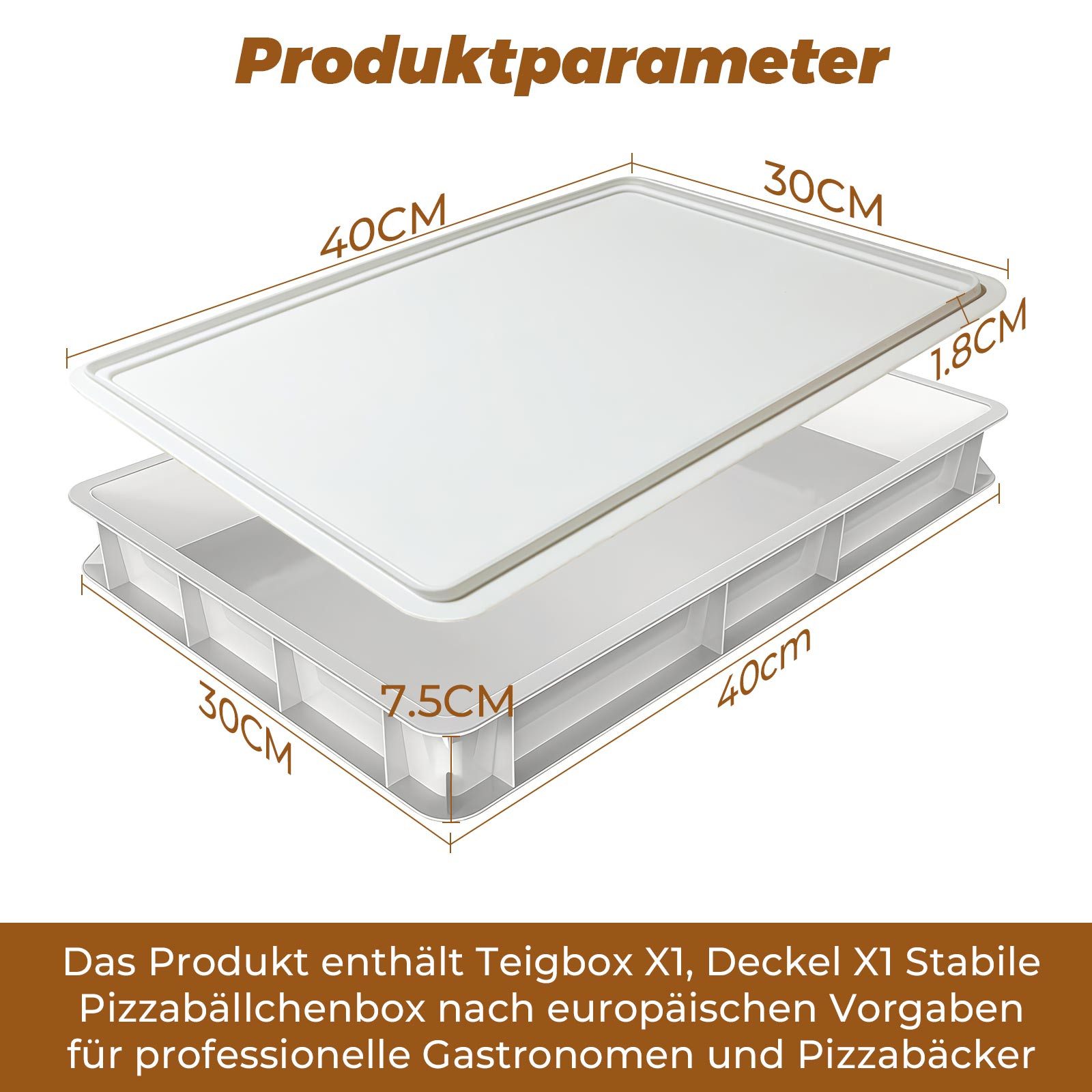 GLIESE Aufbewahrungsbox 30x40x7,5 cm Pizzaballenbox mit Deckel (Set, 1 St., günstig online kaufen