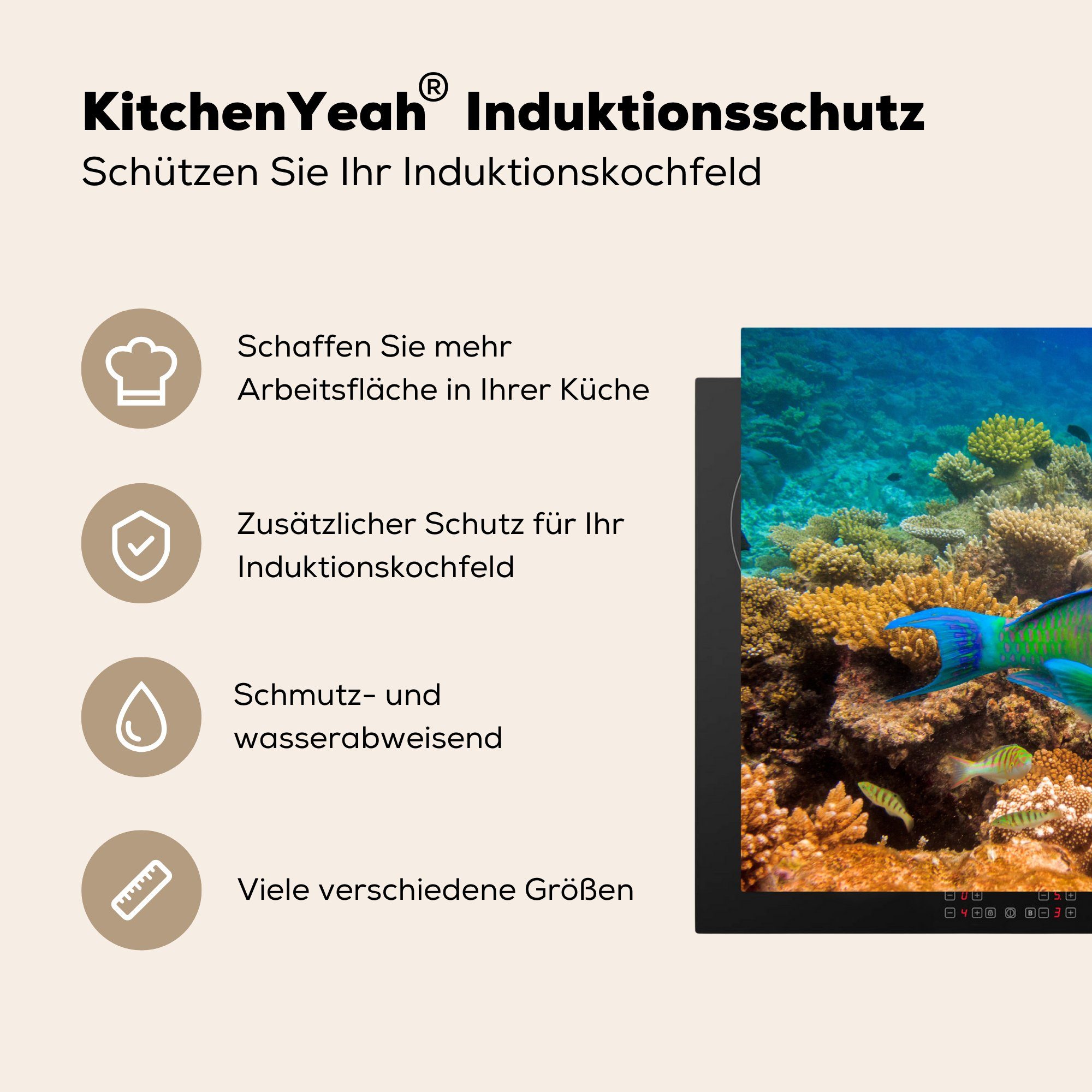 Herdblende-/Abdeckplatte tlg), Ceranfeldabdeckung küche, MuchoWow (1 die 71x52 cm, Induktionskochfeld Ozean Schutz Korallen - - Fische, für Vinyl,