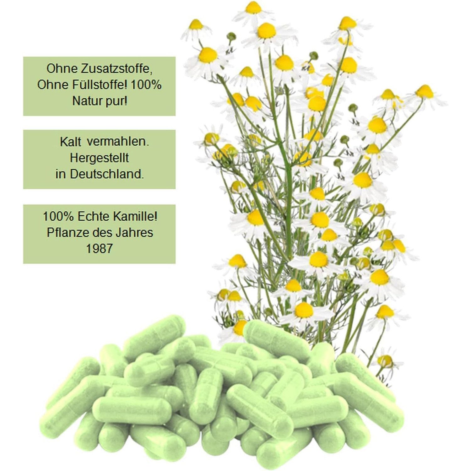 VitalLife Echte KAMILLE Kamillenblüten Natur Pur KEIN Extrakt Nicht Hochdosiert Kapseln, 1 er Dose à 120 St., 43,2 g, Art. 27120-120