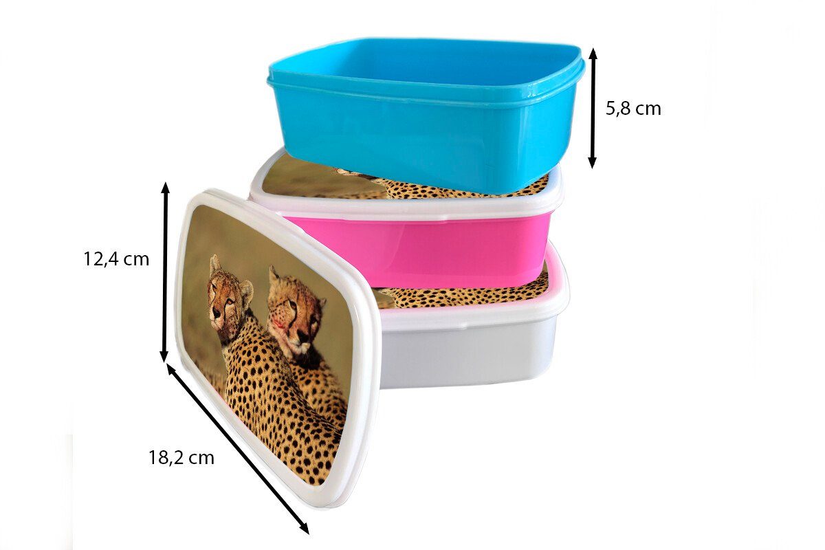 MuchoWow Lunchbox Zwei Geparden weiß für und der Kunststoff, Brotbox Kinder in Savanne, und Brotdose, Jungs (2-tlg), für Mädchen Erwachsene