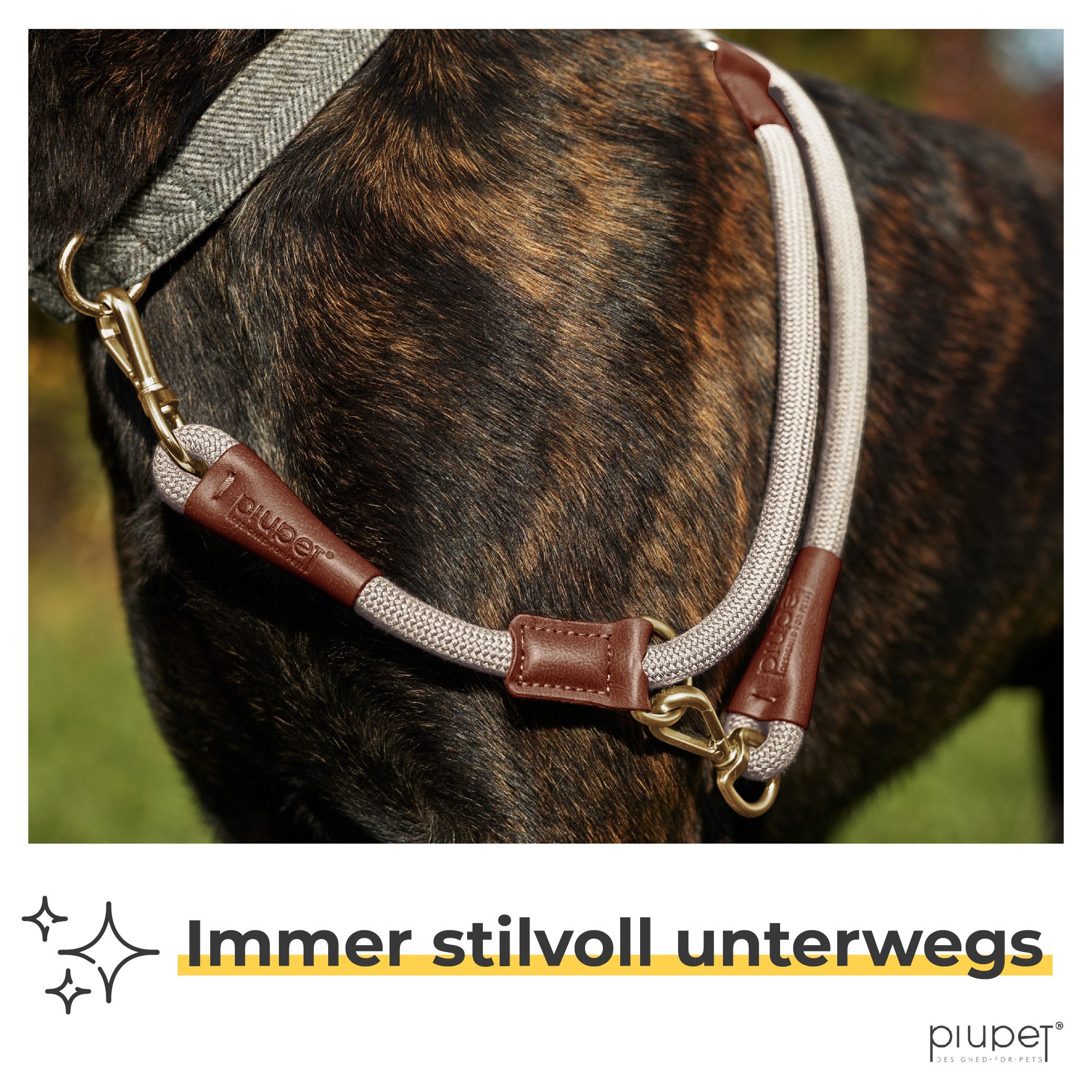 Piupet Hundeleine Hundeleine 2m, 3-Fach Längenverstellbar, Große & Kleine Hunde, Snap-In Effekt, bis 200kg Zugkraft
