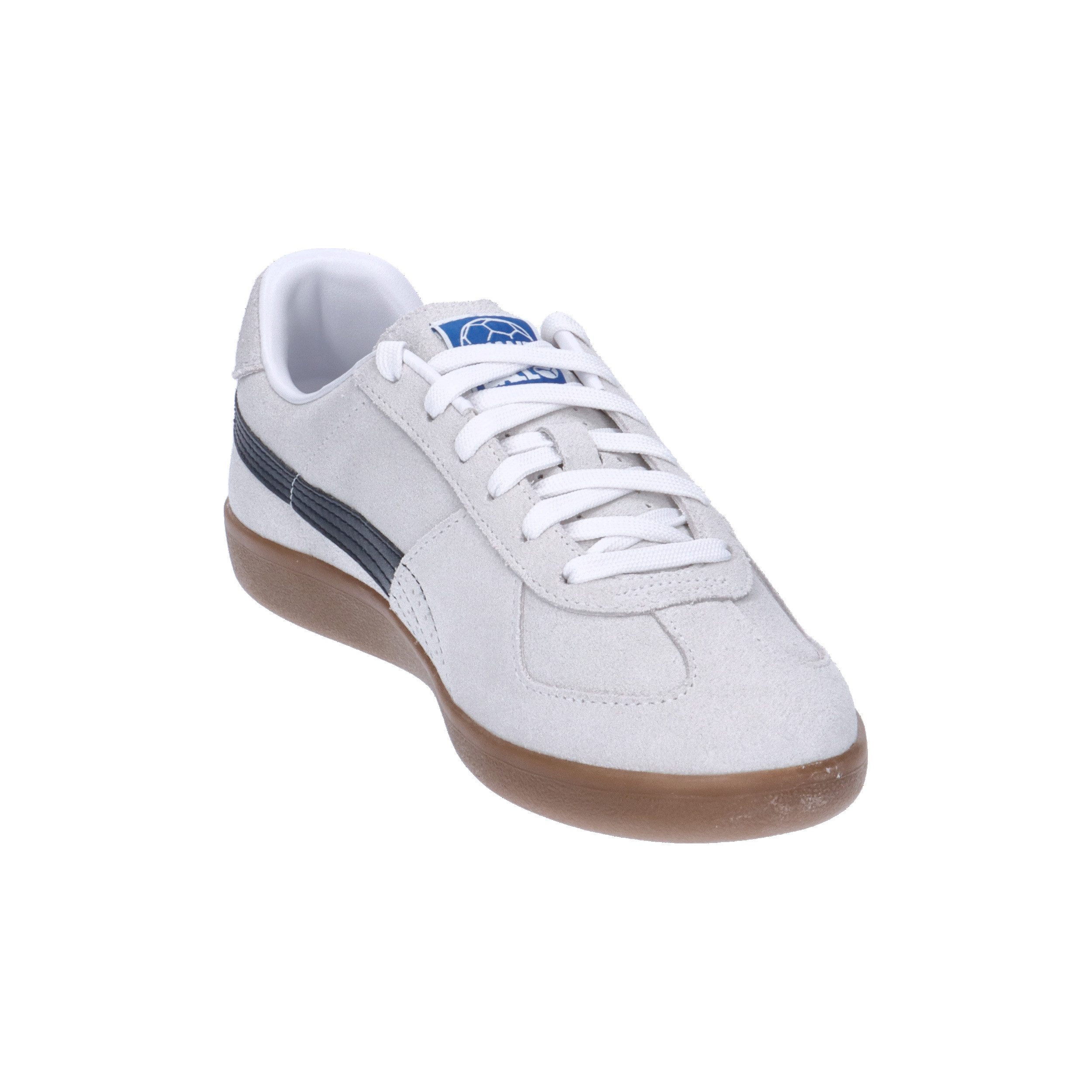PUMA Puma Herren Handballschuhe PUMA Handball 106695 Hallenschuh