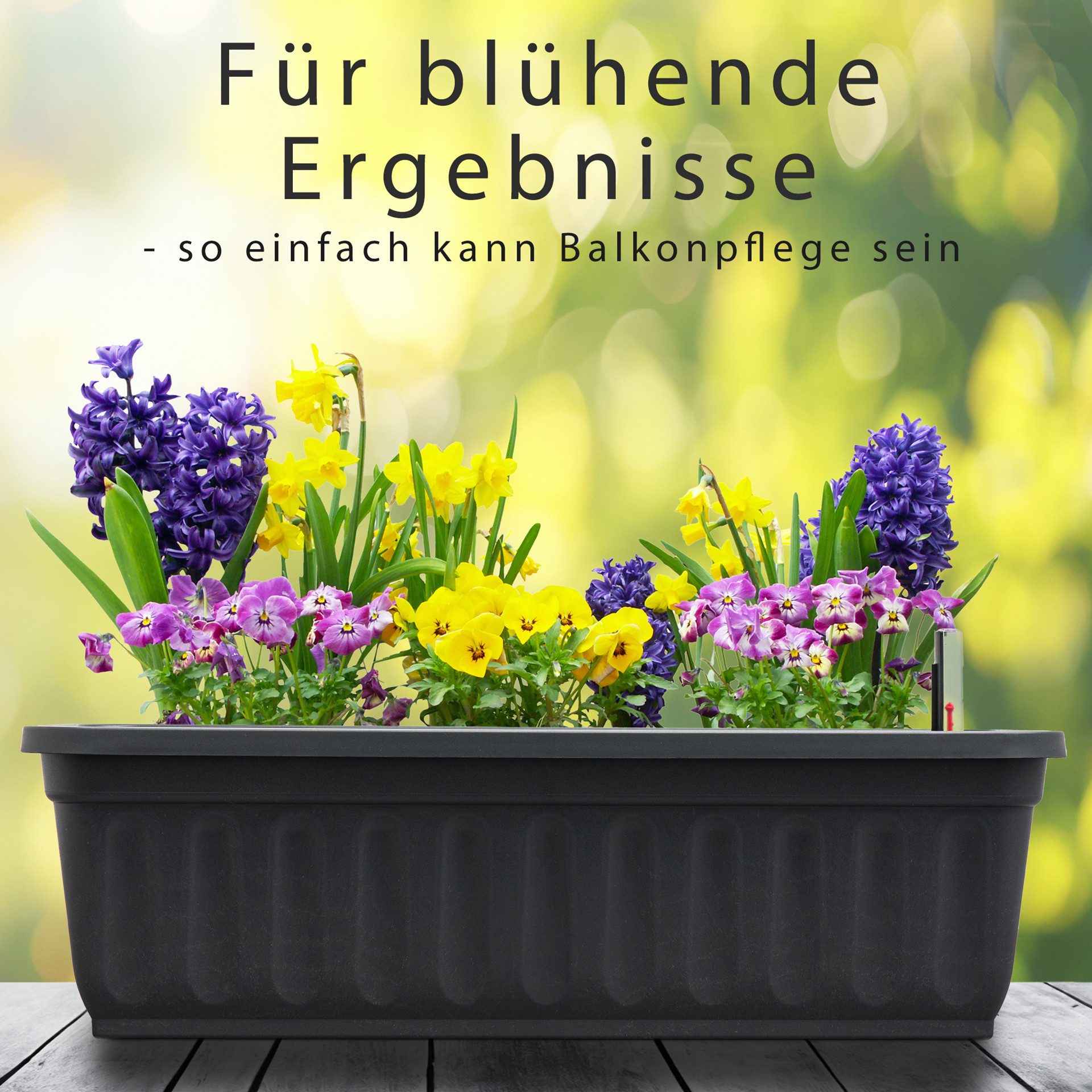 Hausfelder Blumenkasten Balkonkasten mit Wasserstandsanzeiger, Pflanzkasten günstig online kaufen