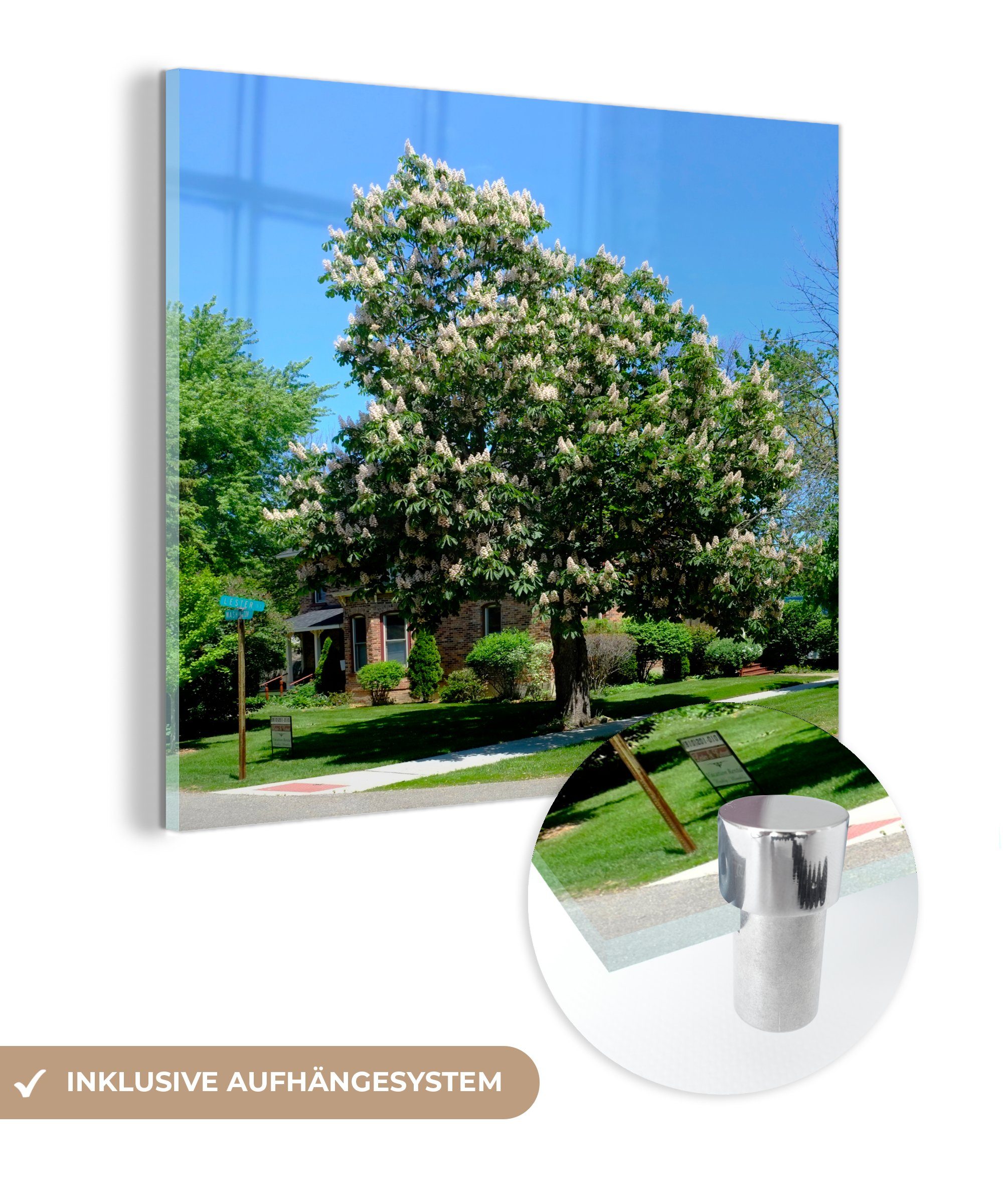 Großeinkauf MuchoWow Acrylglasbild Kastanienbaum Bilder in Blüte auf Wandbild - Frühling, Foto - voller Glas Glas auf St), Wanddekoration - im Glasbilder (1