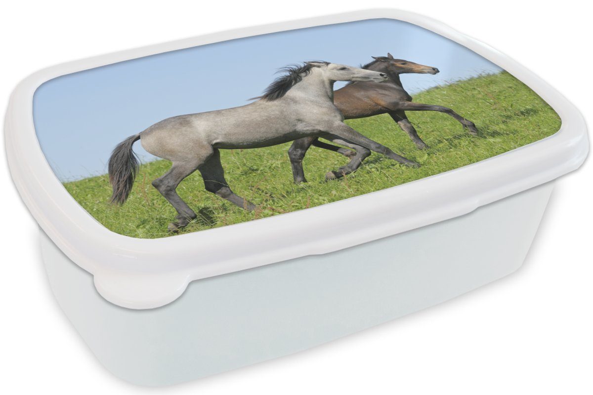 MuchoWow Lunchbox Kinder Mädchen Brotbox (2-tlg), und Pferde Tiere - weiß für und Kunststoff, Brotdose, Gras, - Jungs für Erwachsene