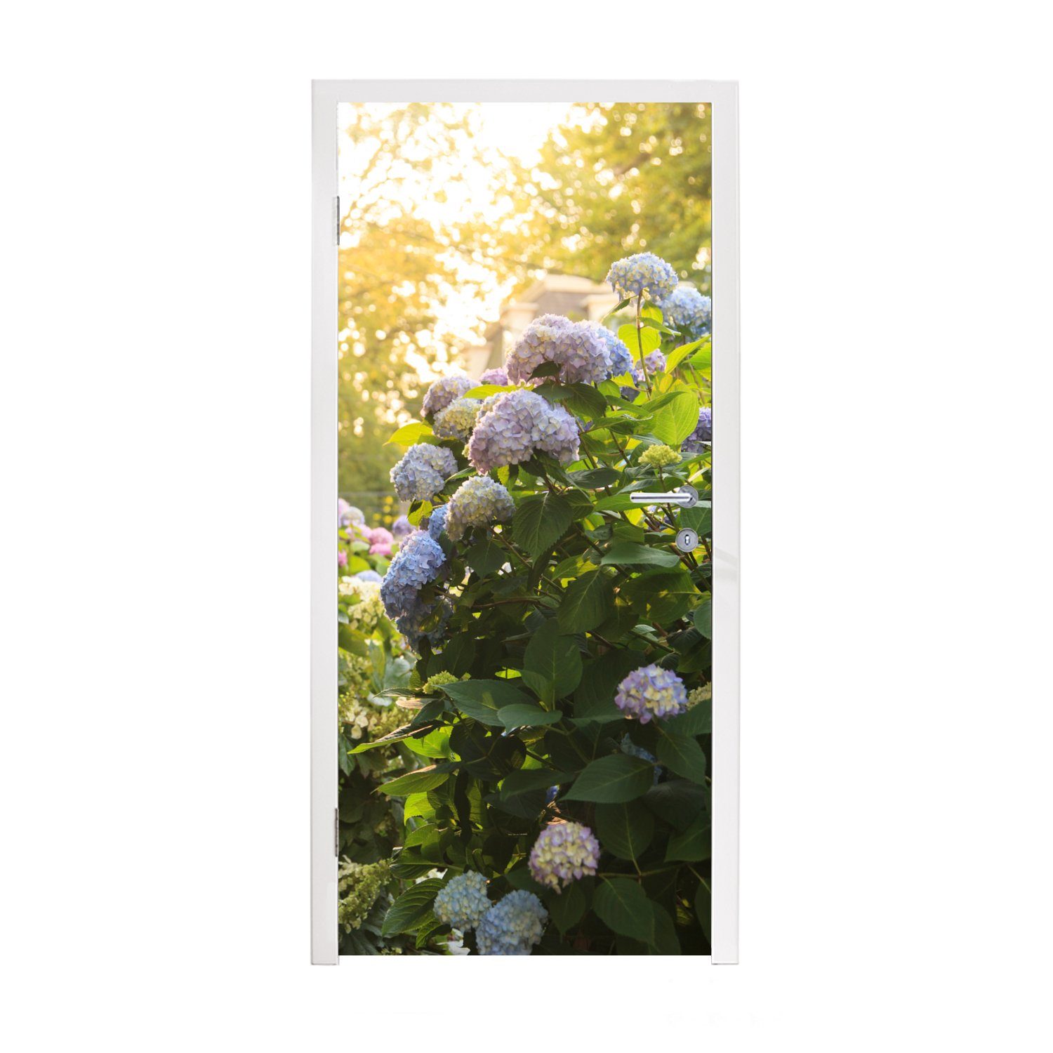 MuchoWow Türtapete Gelbe Hortensien im Garten, Matt, bedruckt, (1 St), Fototapete für Tür, Türaufkleber, 75x205 cm