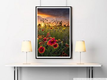 Sinus Art Poster 90x60cm Poster Blumewiese bei Sonnenuntergang