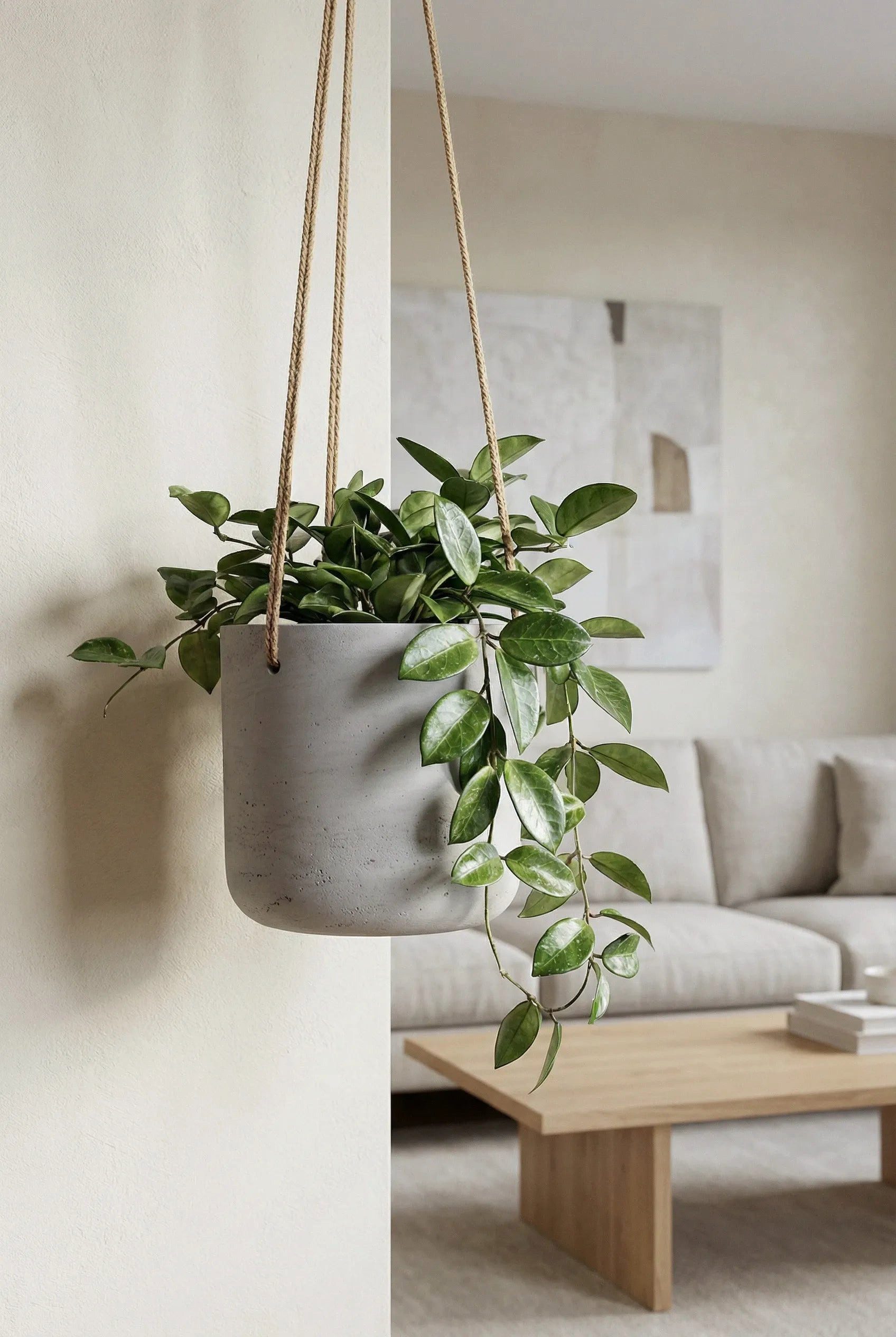 finestgreen Blumenampel Hanging Charlie, Frostfest & UV-beständig – für Innen- und Außenbereich