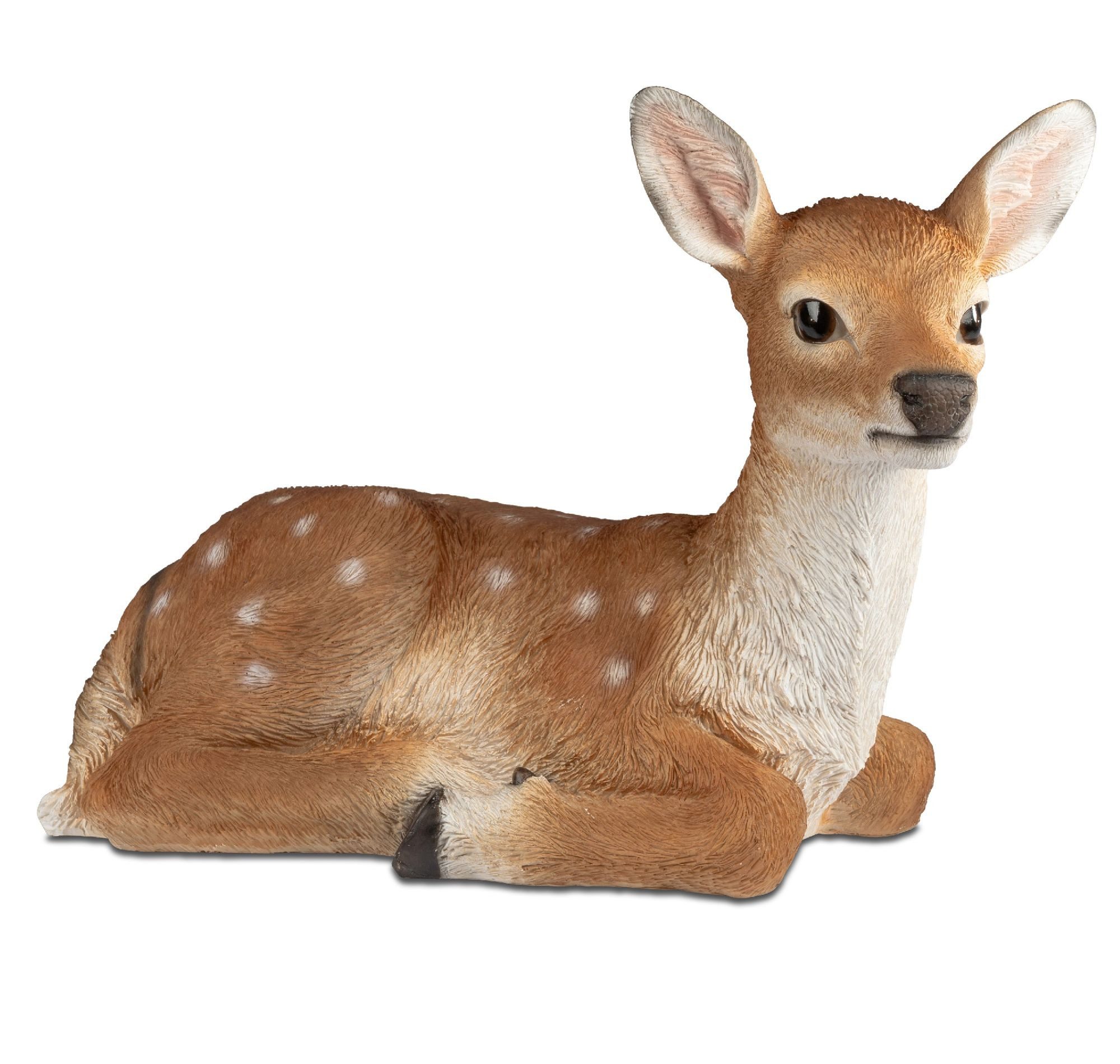 formano Dekofigur Winterzeit, Weihnachtsdeko, Braun, Motiv: Reh günstig online kaufen