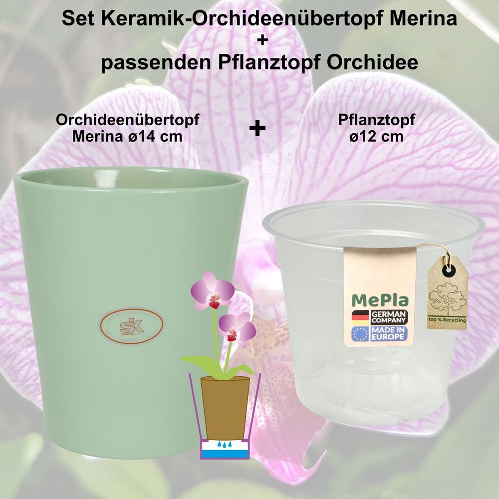 Heimwerkercenter Übertopf MePla - 2 Stück günstig online kaufen