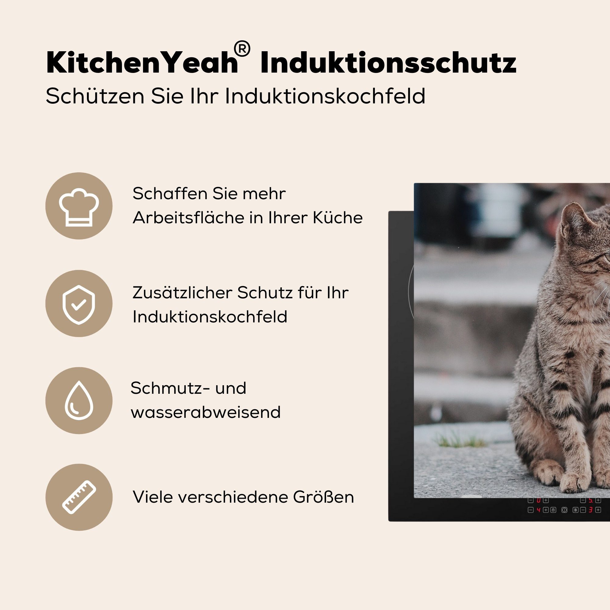 (1 Draußen - Katze Mobile MuchoWow Herdblende-/Abdeckplatte Weg, 60x52 - nutzbar, cm, Vinyl, tlg), Ceranfeldabdeckung Arbeitsfläche