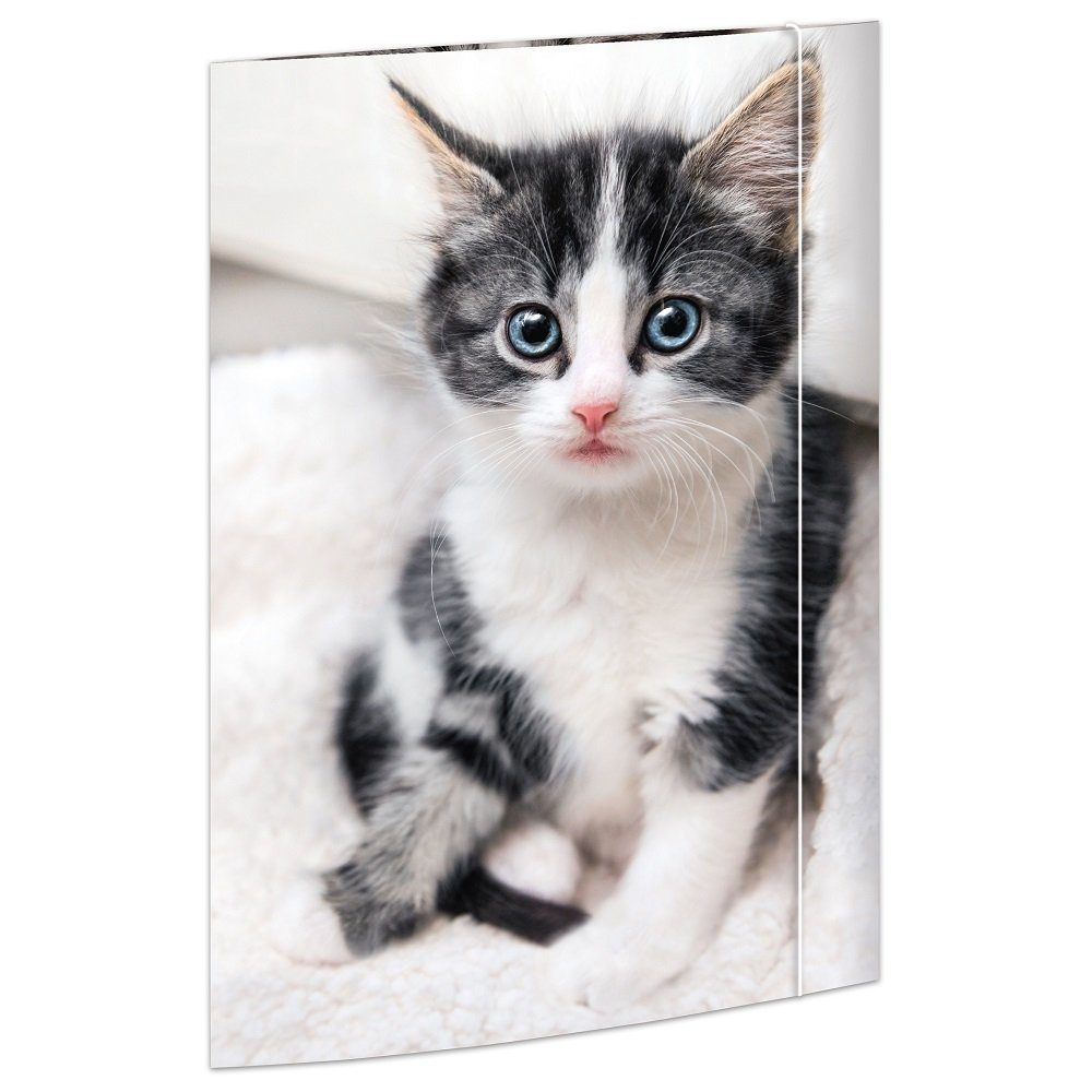 RNK Verlag Konferenzmappe 1 Zeichenmappe mit Gummizug 3 Klappen am Unterdeckel A3 - Katze