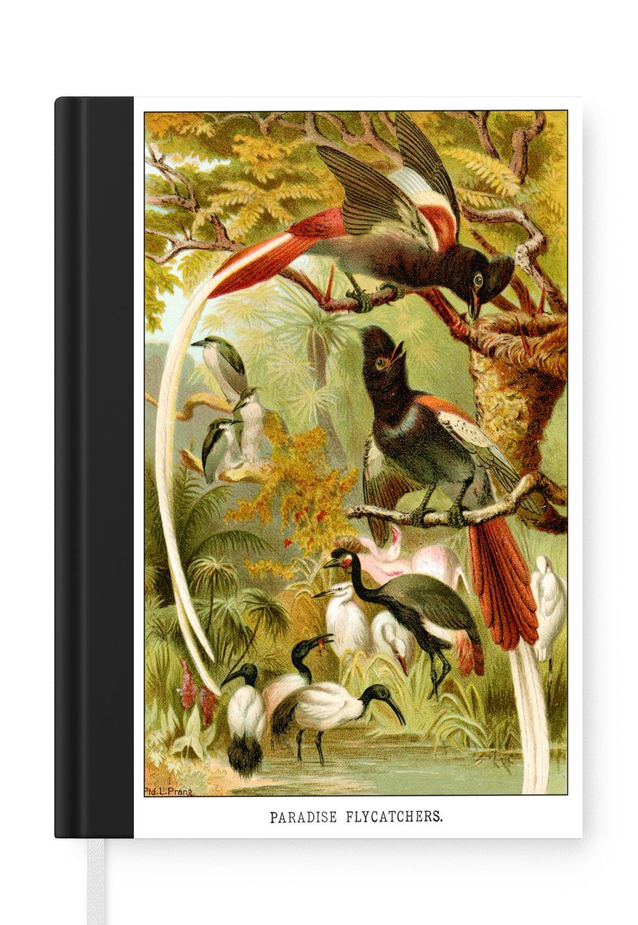 MuchoWow Notizbuch Antiker Vogeldruck Fliegenschnäpper, Journal, Merkzettel, Tagebuch, Notizheft, A5, 98 Seiten, Haushaltsbuch