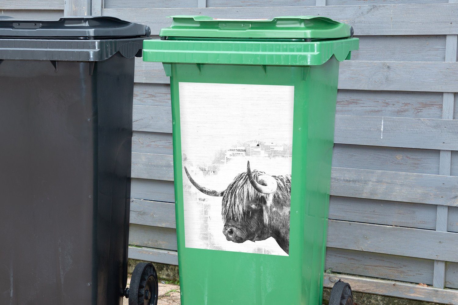 MuchoWow Wandsticker Schottischer Highlander auf Mülltonne, - Mülleimer-aufkleber, und Zeitungshintergrund schwarz Abfalbehälter Container, St), einem Sticker, (1