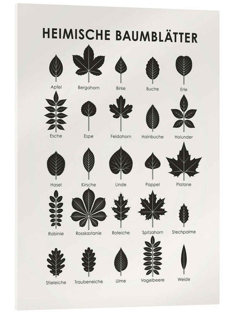 Posterlounge Acrylglasbild Iris Luckhaus, Heimische Baumblätter, Mädchenzimmer Skandinavisch Grafikdesign