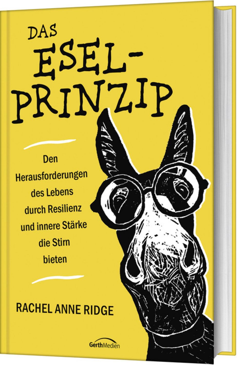 Das Esel-Prinzip / Rachel Anne Ridge