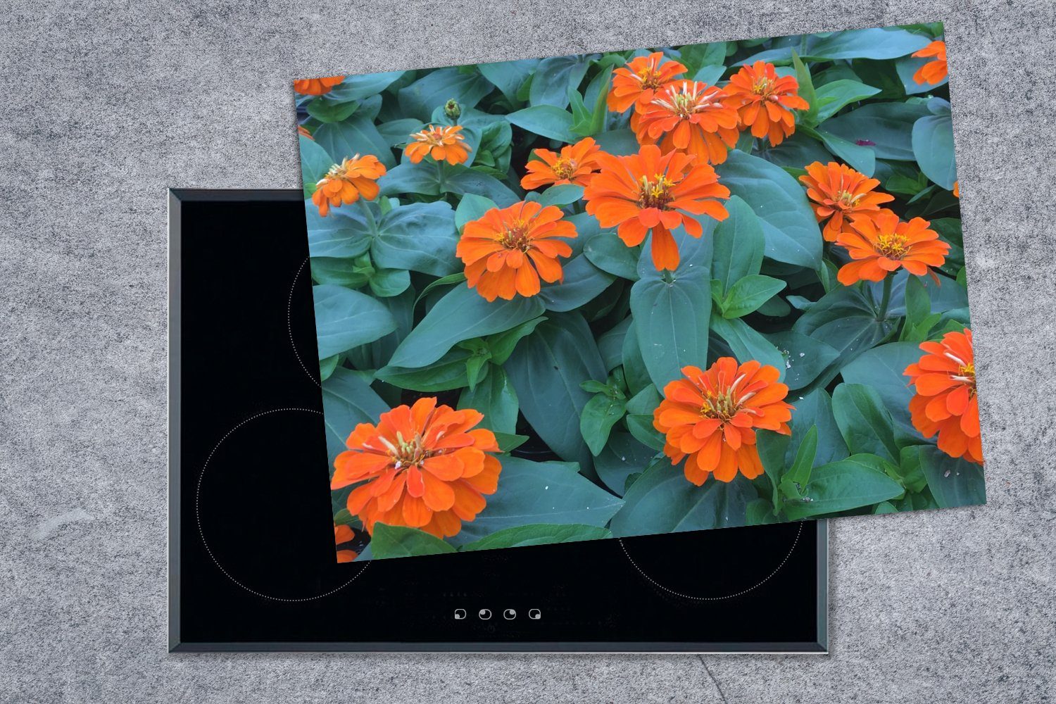 MuchoWow Herdblende-/Abdeckplatte Orangefarbene Zinnienblüten Vinyl, 70x52 Ceranfeldabdeckung grünen cm, mit nutzbar, (1 tlg), Blättern, Arbeitsfläche Mobile