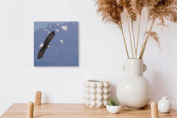 OneMillionCanvasses® Leinwandbild Amerikanischer Seeadler - Adler - Fliegen - Flügel - Vögel, (1 St), Leinwand Bilder für Wohnzimmer Schlafzimmer