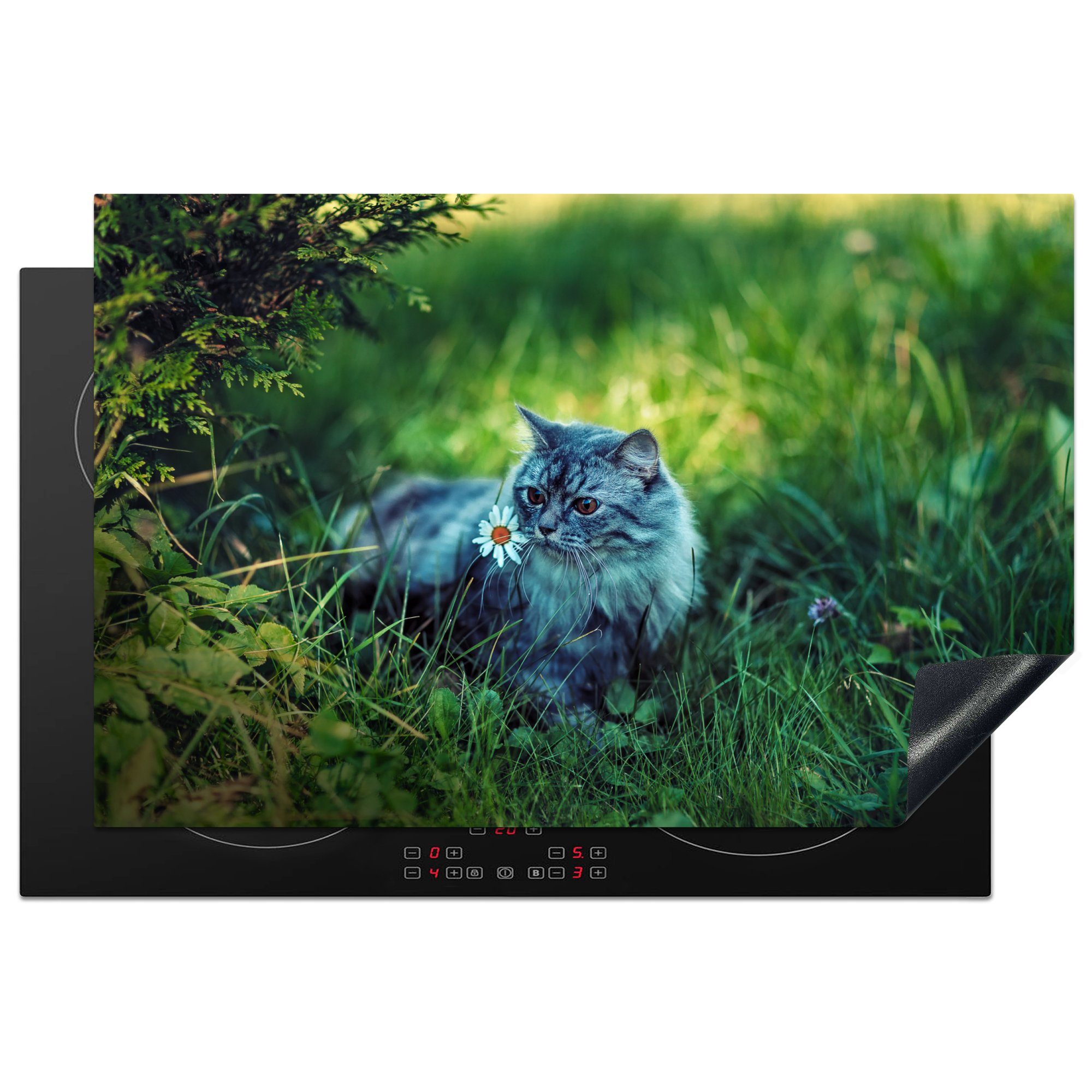 MuchoWow Herdblende-/Abdeckplatte Graue Katze, Vinyl, Schutz 81x52 Ceranfeldabdeckung Induktionskochfeld die für (1 tlg), cm, küche