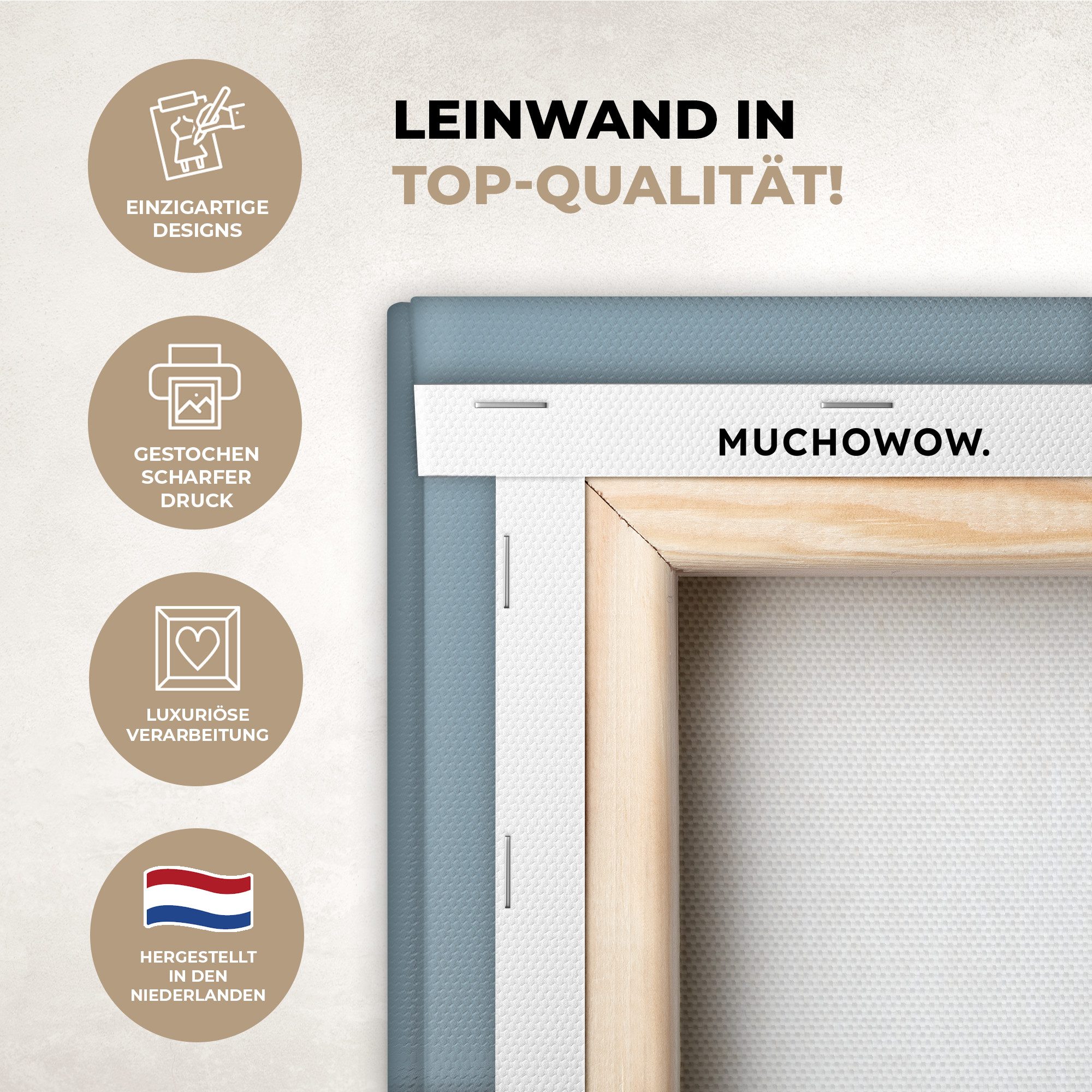 OneMillionCanvasses® Leinwandbild Dino - Pteranodon - günstig online kaufen