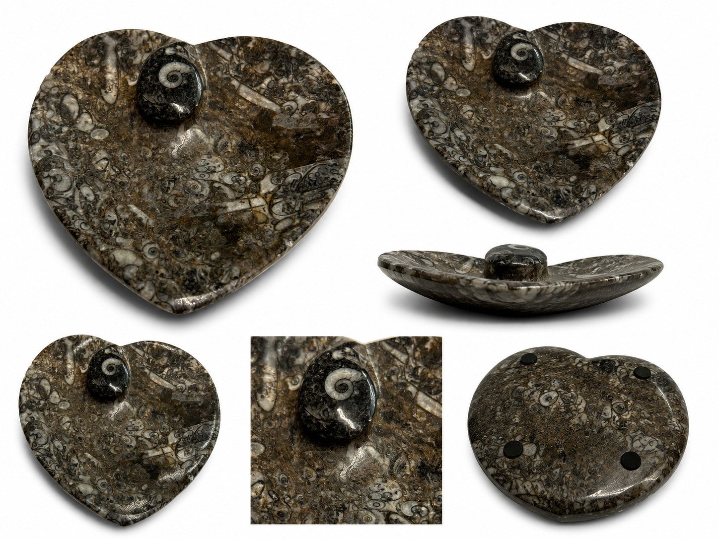 Nesbel - Spüren Sie die Reinheit? Dekoschale (1 St), Orthoceras Edelsteinschale versteinerte Tintenfischarme 15x11,5x2 cm