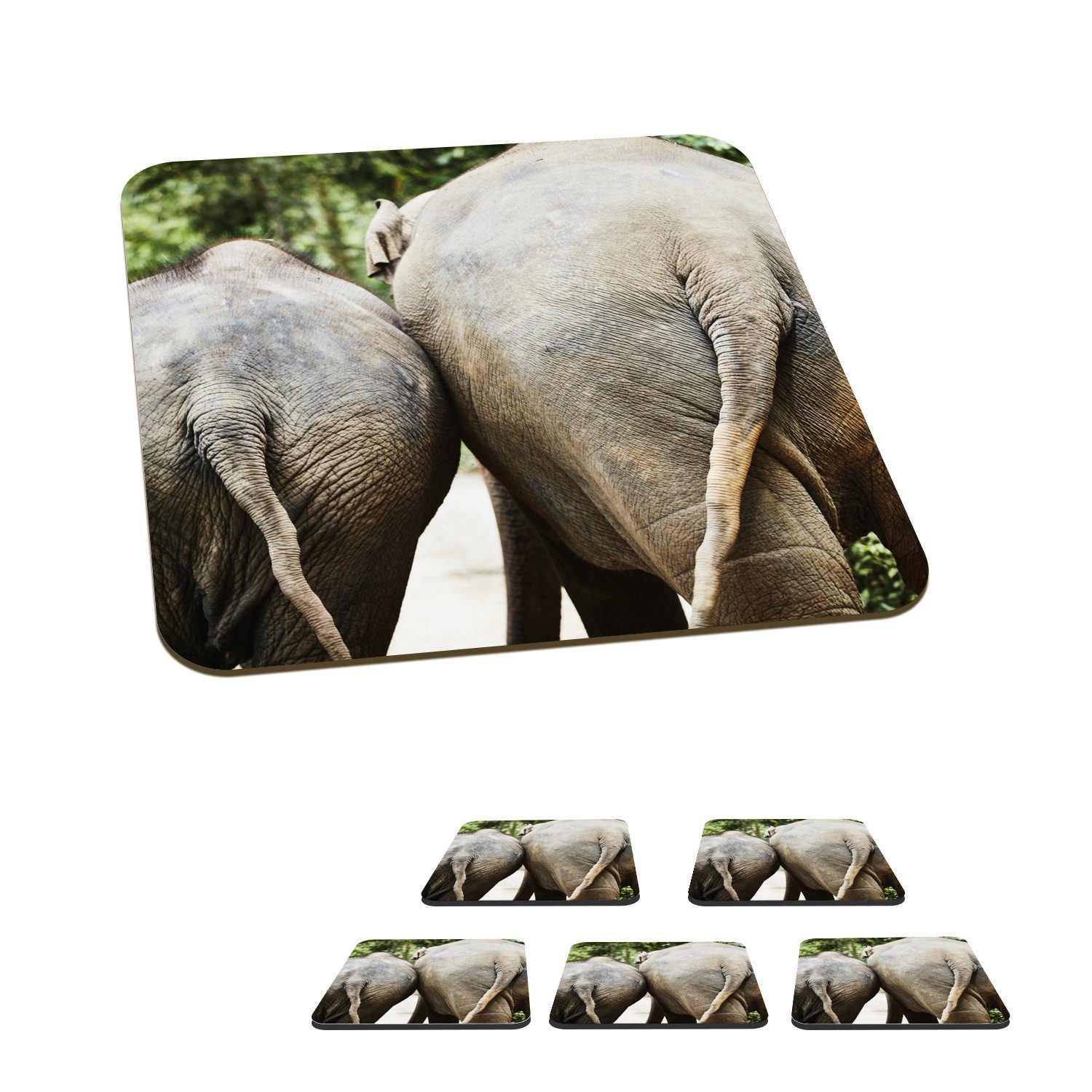 MuchoWow Glasuntersetzer Elefant - Tiere - Grau - Natur, Zubehör für Gläser, 6-tlg., Glasuntersetzer, Tischuntersetzer, Korkuntersetzer, Untersetzer, Tasse