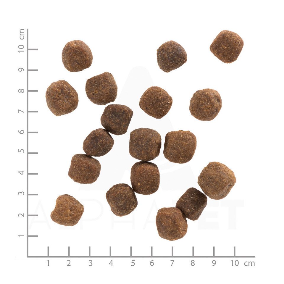Wolfsblut Wild Duck Adult - getreidefreies Trockenfutter mit Ente & Kartoffel, Trockenfutter für: Hunde