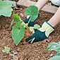 Navaris Lederhandschuhe 1 Paar L Gartenhandschuhe aus Spaltleder - für Damen und Herren - Leder Arbeitshandschuhe Handschuhe für leichte Gartenarbeit, Bild 2