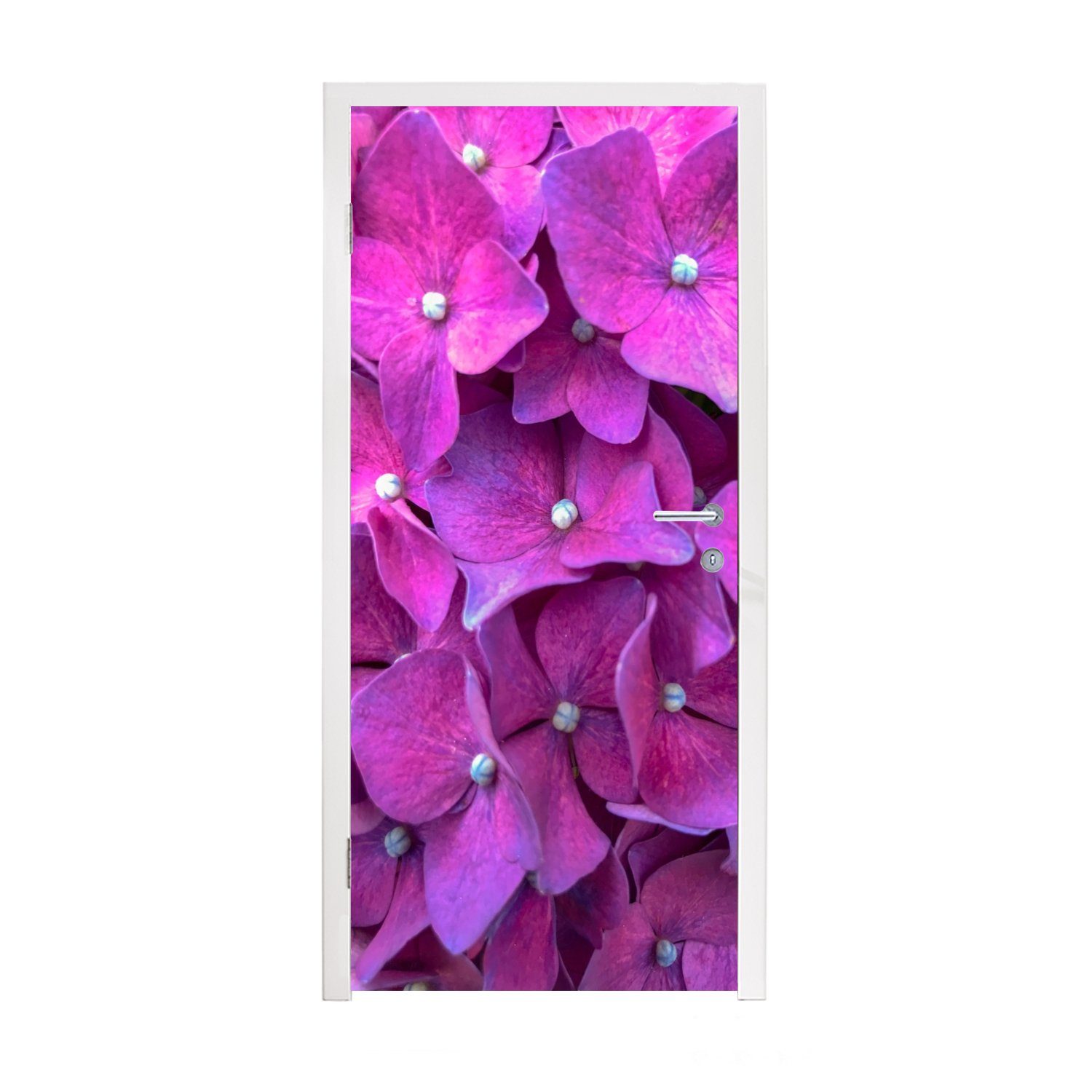 cm für Tür, St), Fototapete Matt, Türtapete 75x205 Nahaufnahme Hortensienblüten, (1 bedruckt, rosa MuchoWow Türaufkleber,