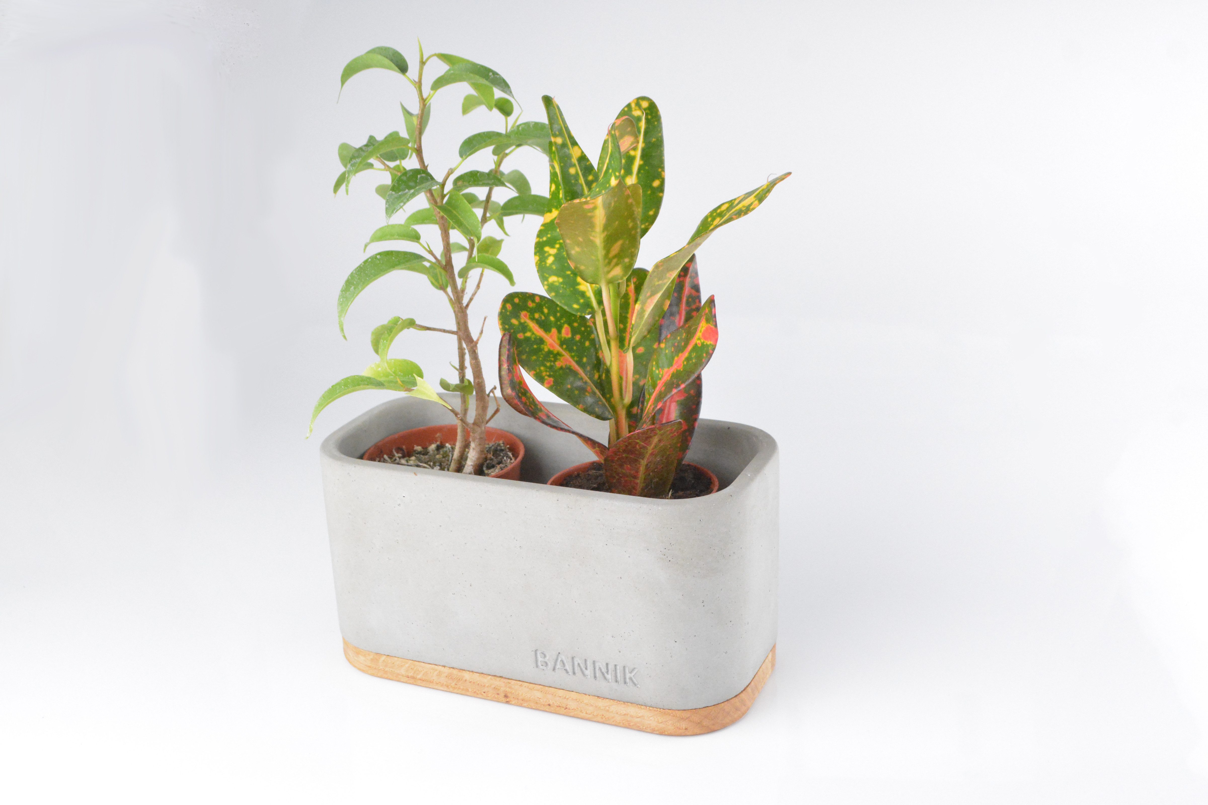 Bannik Blumentopf aus Beton - Unikat günstig online kaufen