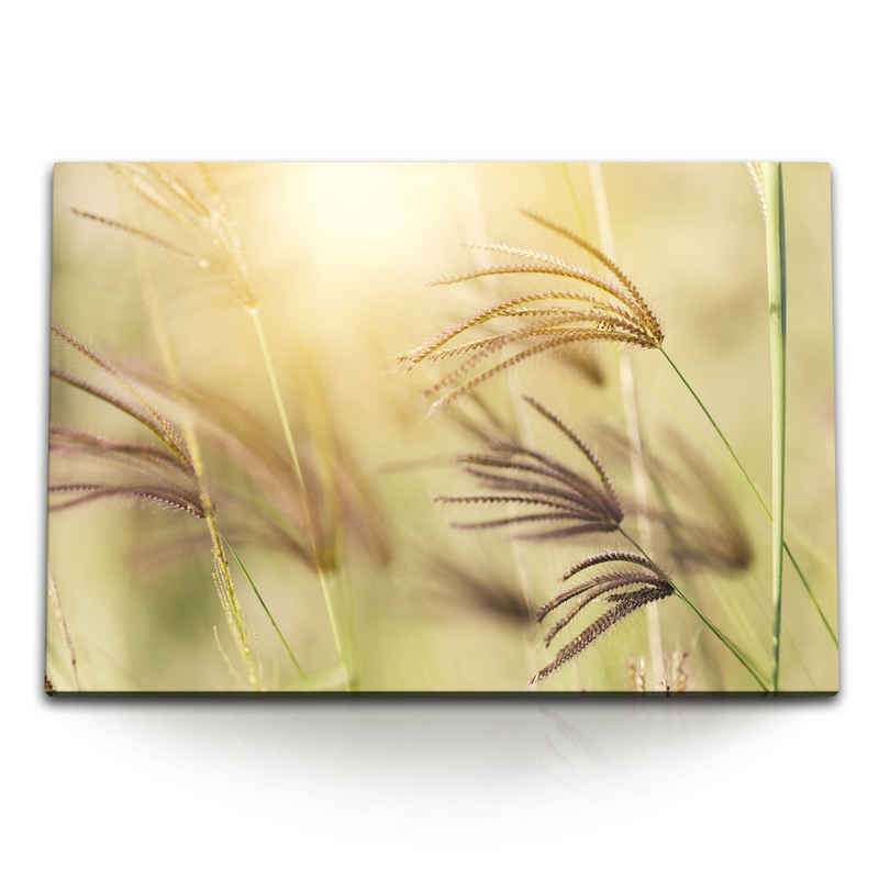 Sinus Art Leinwandbild 120x80cm Wandbild auf Leinwand Sommer Grashalme Weizen Pflanzen Natur, (1 St)