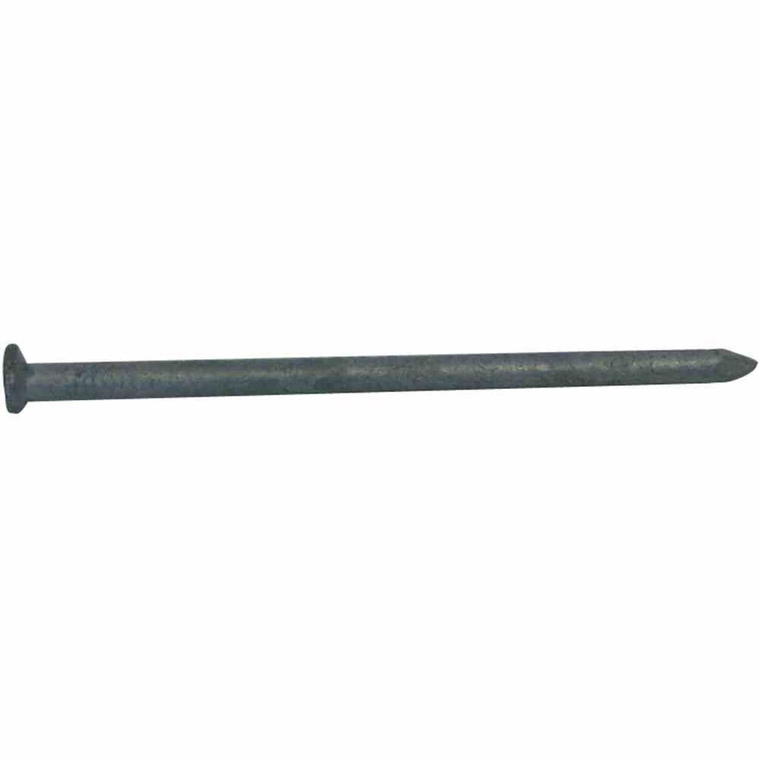 REWWER-TEC Stahlnagel Drahtstifte 1 kg 31/80 flach verzinkt, mm