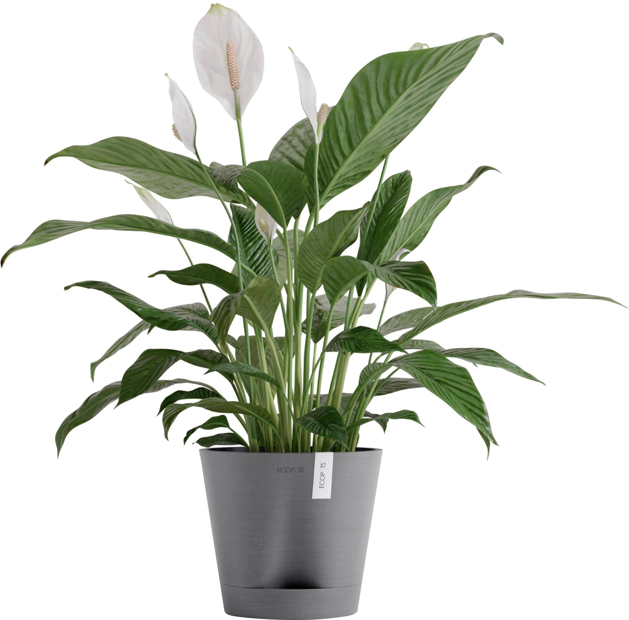 ECOPOTS Blumentopf Venice 2 20 Grau, günstig online kaufen