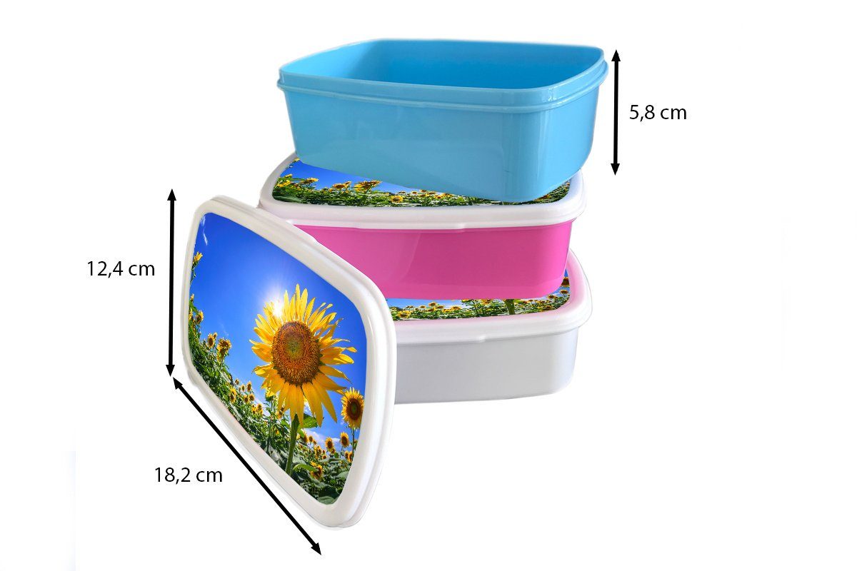 Mädchen Brotbox gesehen, von und Kinder Kunststoff, für Erwachsene, Jungs für weiß Lunchbox (2-tlg), MuchoWow Sonnenblumenfeld unten Brotdose, und
