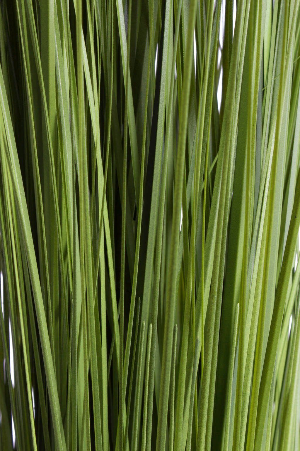 Kunstgras Grasarrangement selbststehend Gras, Botanic-Haus, Höhe 120 cm – Bild 3 von 3