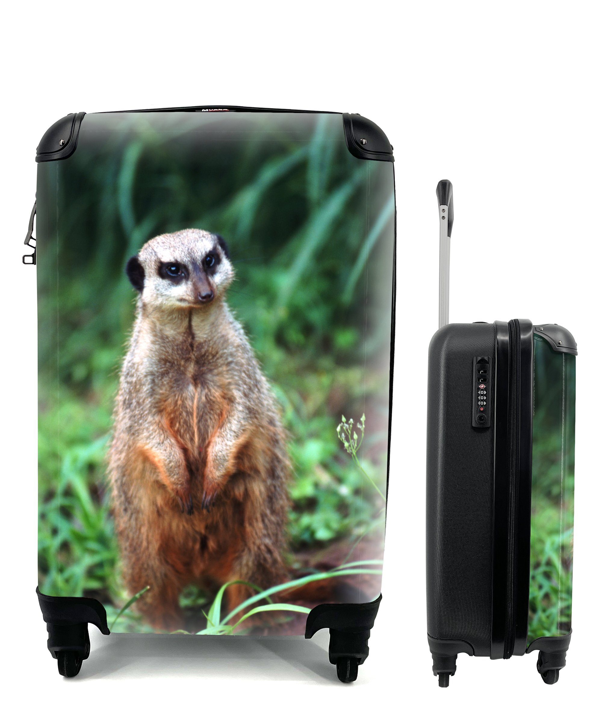 rollen, Reisekoffer Reisetasche Trolley, Gras - Tier, MuchoWow 4 Ferien, Handgepäckkoffer mit Rollen, für - Handgepäck Erdmännchen