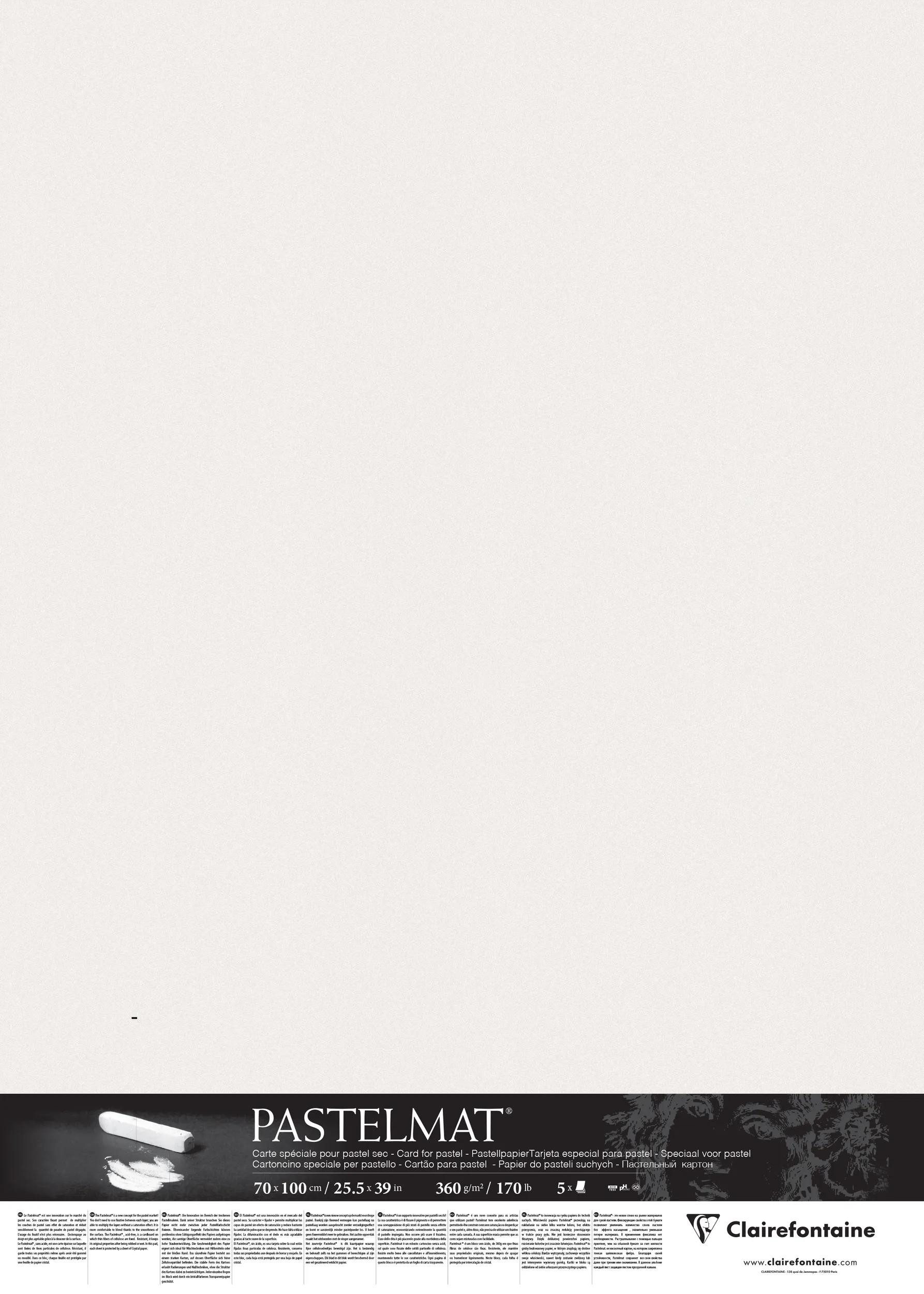 CLAIREFONTAINE Zeichenpapier Pastelmat Pastellmalerei, 5 Bogen 70x100 cm, 360g Weiß 296010C, Kunst Clairefontaine