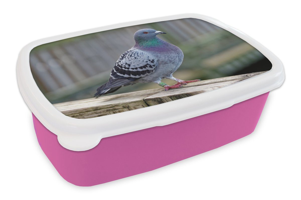 MuchoWow Lunchbox Taube - Vogel - Lila - Federn, Kunststoff, (2-tlg), Brotbox für Erwachsene, Brotdose Kinder, Snackbox, Mädchen, Kunststoff rosa