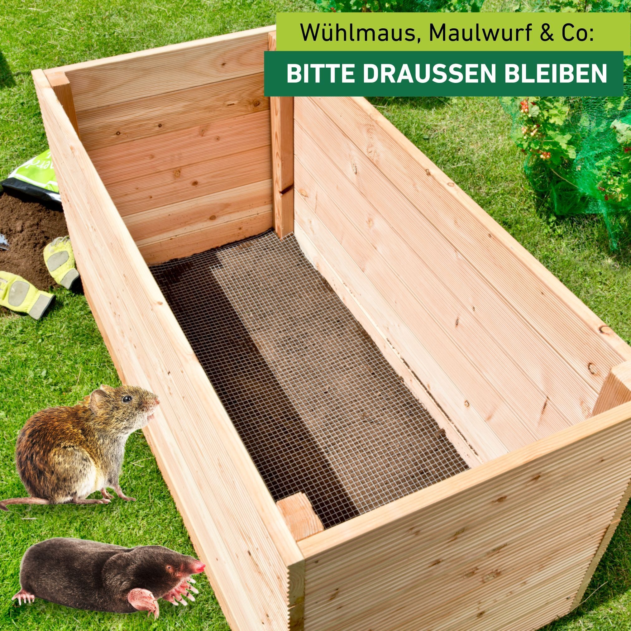 Windhager Mäusegitter für Hochbeete, Wühlmausschutz aus 0,55 mm Stahldraht, 210x110x0,5 cm, 1-St., zuverlässiger Schutz gegen Nager, Wühlmausgitter 2,1 x 1,1 m