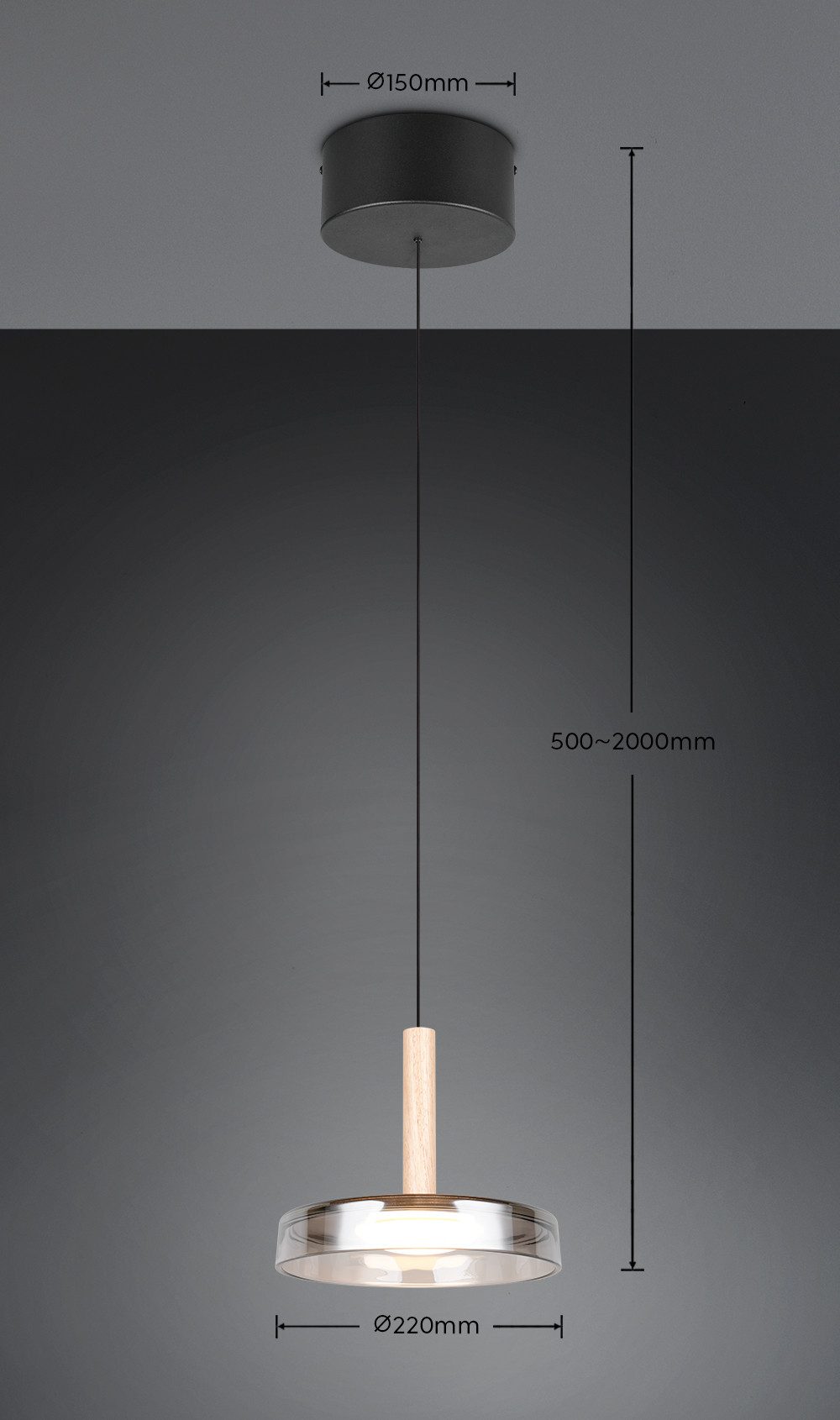 TRIO Leuchten LED Pendelleuchte CELESTE dimmbare LED Hängelampe aus Metall Glas & Holz, 10W 1100 Lumen, Dimmfunktion, LED fest integriert, Warmweiß, einfach höhenverstellbar von 50-200 cm, Ø 22cm, 3-Stufen Dimmfunktion