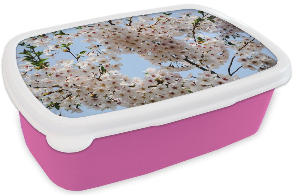 Lunchbox Snackbox, Brotdose - (2-tlg), für Mädchen, Kunststoff Blumen Brotbox Erwachsene, Pflanzen MuchoWow Zweig, rosa Kunststoff, Kinder, -