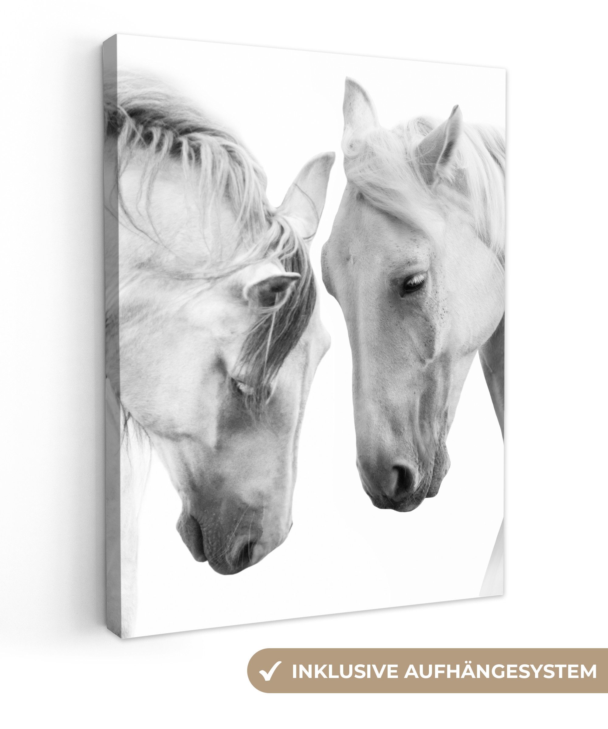 OneMillionCanvasses® Leinwandbild Pferd - Tiere - Porträt - Weiß, (1 St), Leinwand Bilder für Wohnzimmer Schlafzimmer 30x40 cm