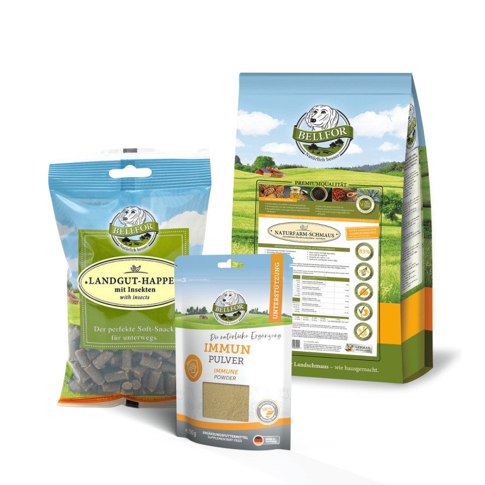 Bellfor Sparset von Bellfor für mittelgroße Hunde mit Leishmaniose - Naturfarm, für: Hunde