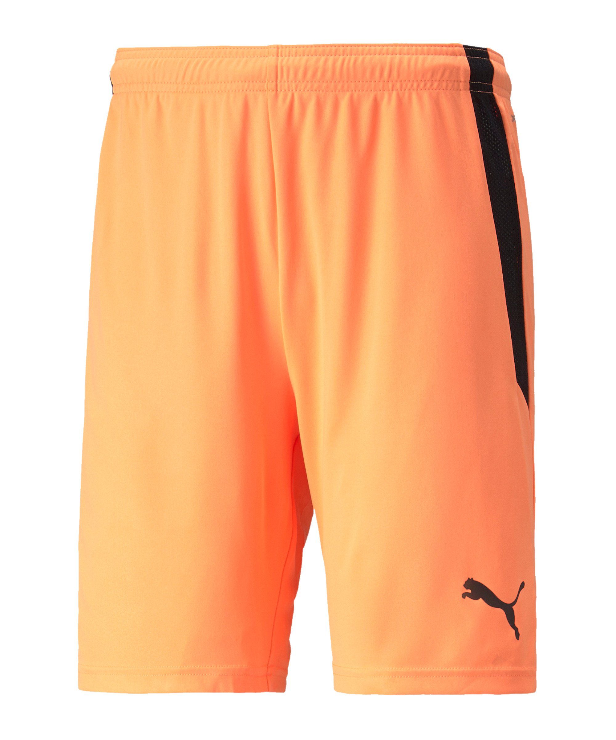 PUMA Sporthose teamLIGA Short