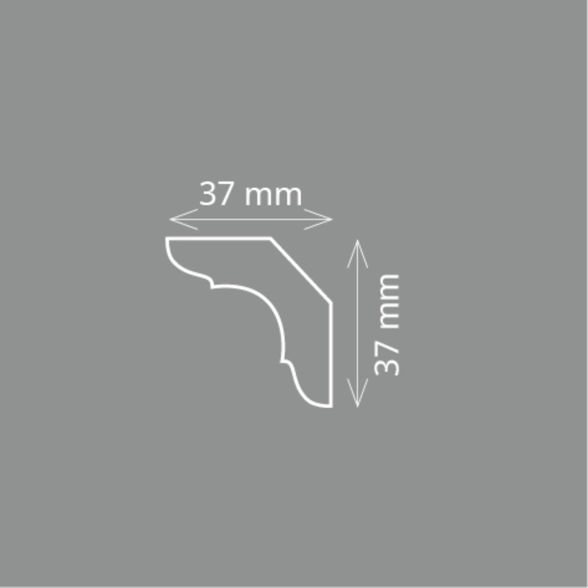 Homestar Zierleiste C 50 (37 x günstig online kaufen