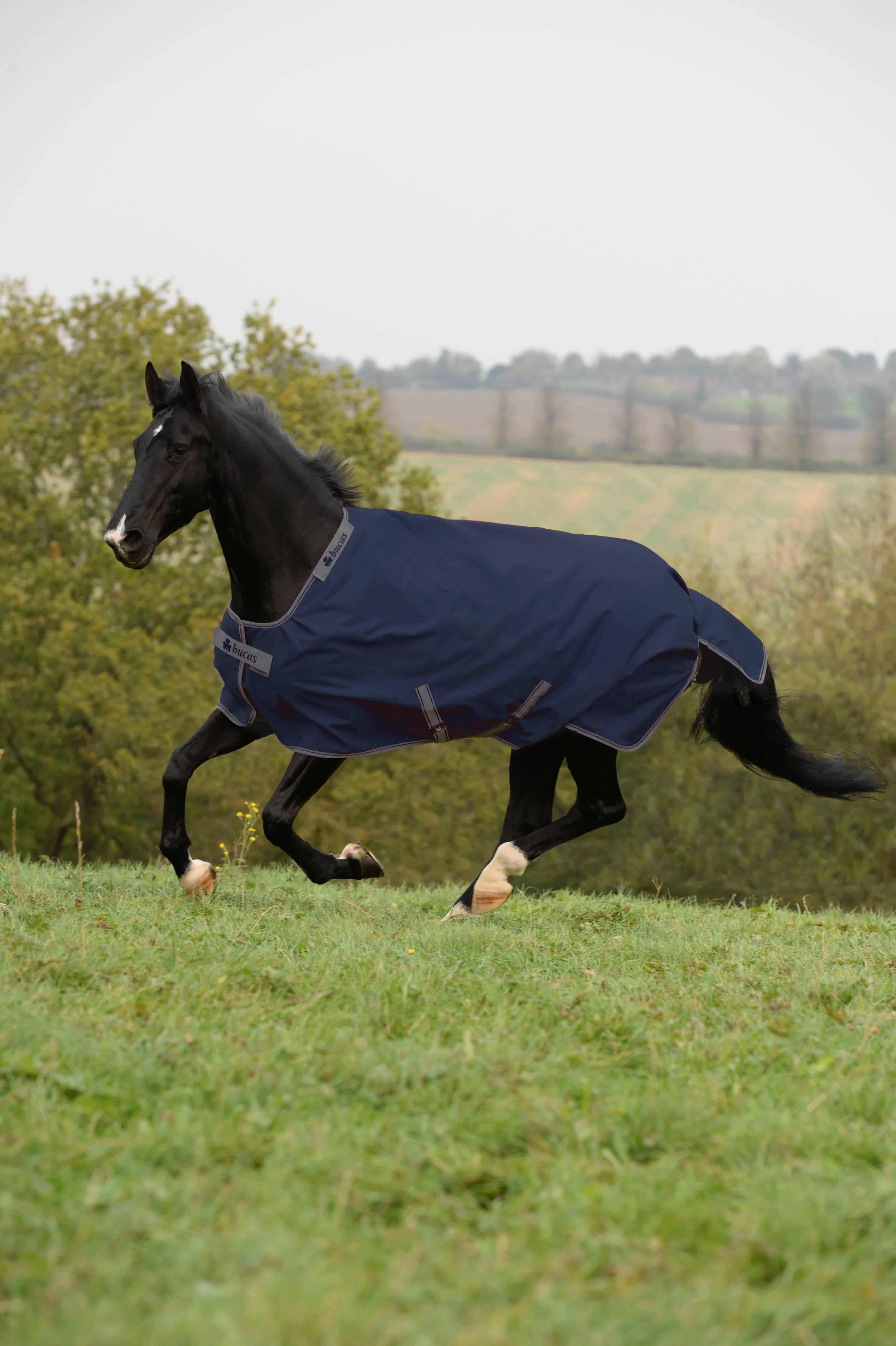 Bucas Ausreitdecke Outdoordecke IVR Turnout 0g in Maritime/Silver