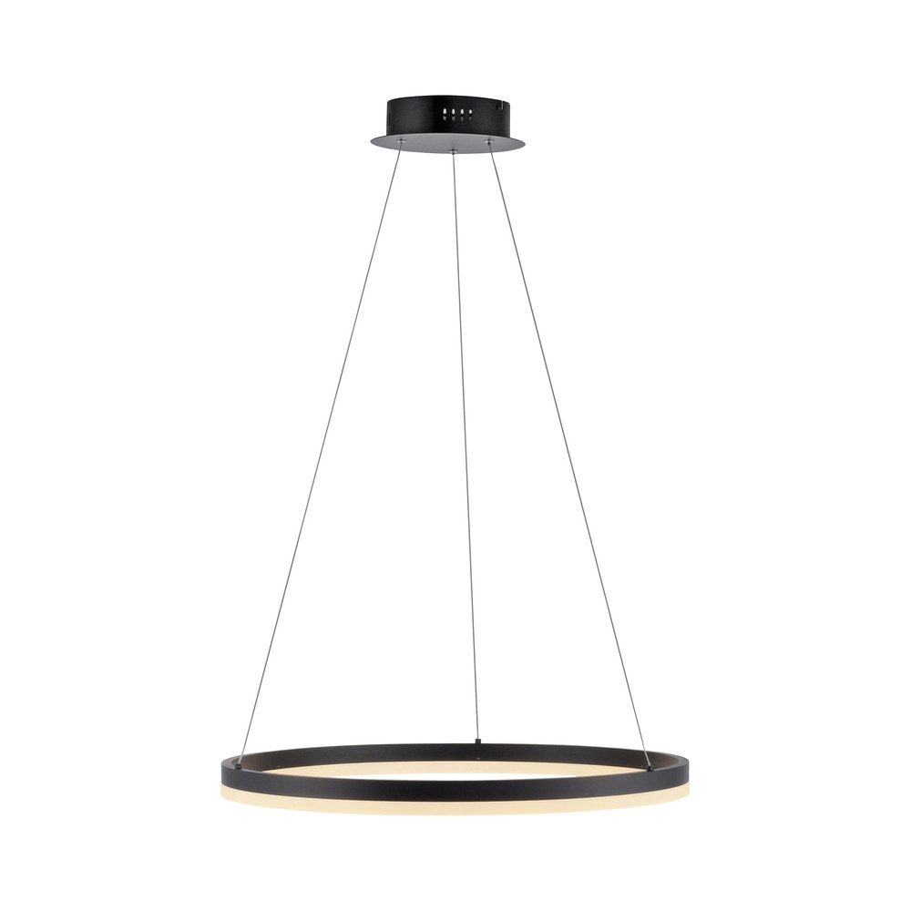 Paul Neuhaus LED-Pendelleuchte Titus Anthrazit Ø 60 cm