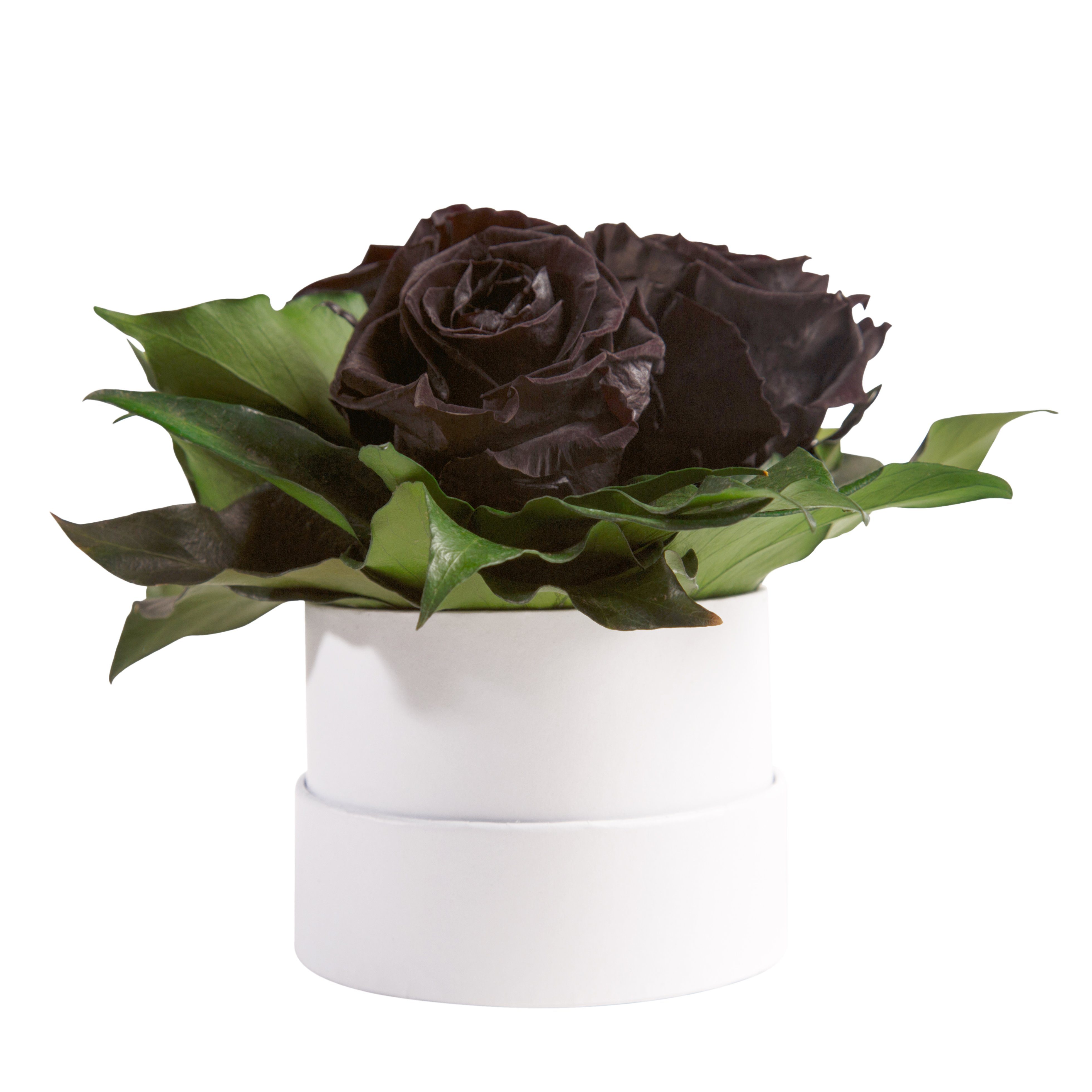 Kunstblume Infinity Rosenbox weiß rund 3 günstig online kaufen